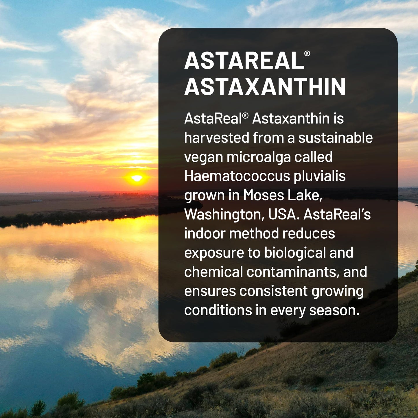 NatureWise Triple Strength Astaxanthin 12mg with AstaReal - Vegan Antioxidant Supplement with Organic Coconut Oil, 60 Softgels