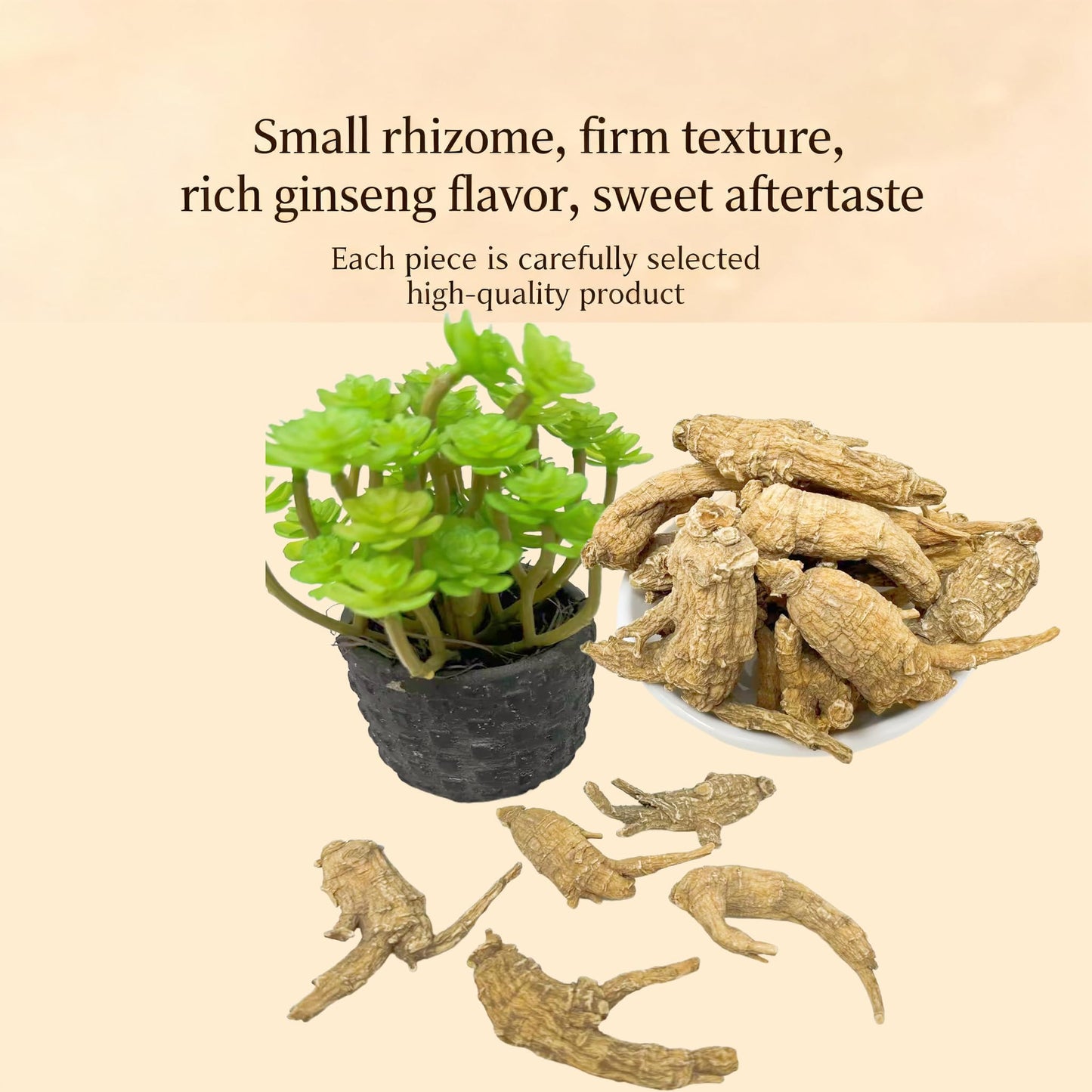 DABC OAK LAND American Wisconsin Ginseng Root Tablet 4 Tablets