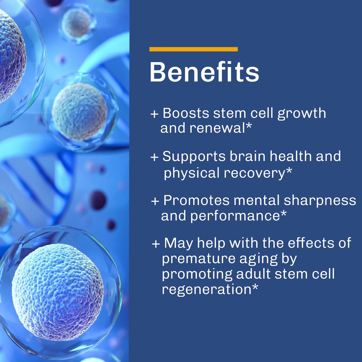 Global Natural Healing Supplements Stem Cell Supplements Renewal Blend, 60 Capsules