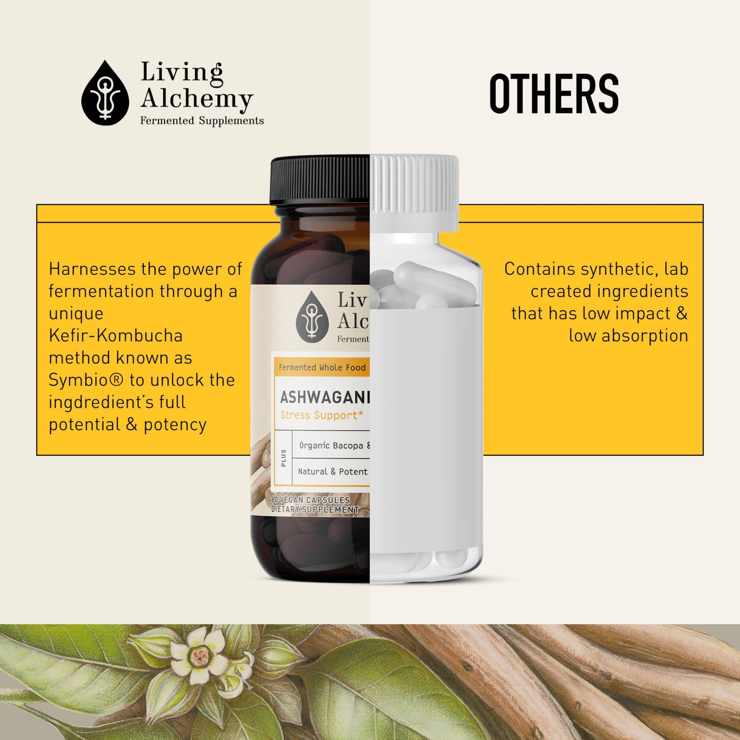 Living Alchemy Ashwagandha Supplement 60 Capsules