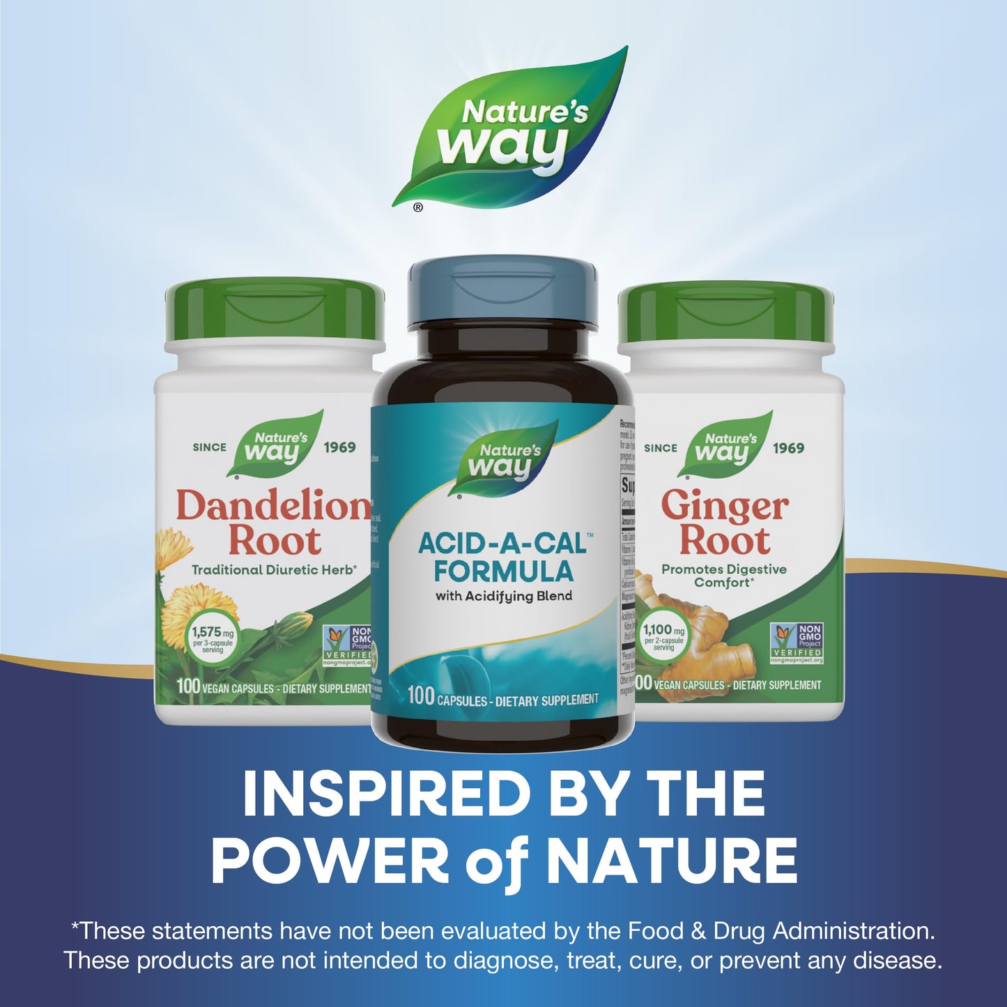Nature's Way Acid-A-Cal Acidifying Blend Capsules, 100