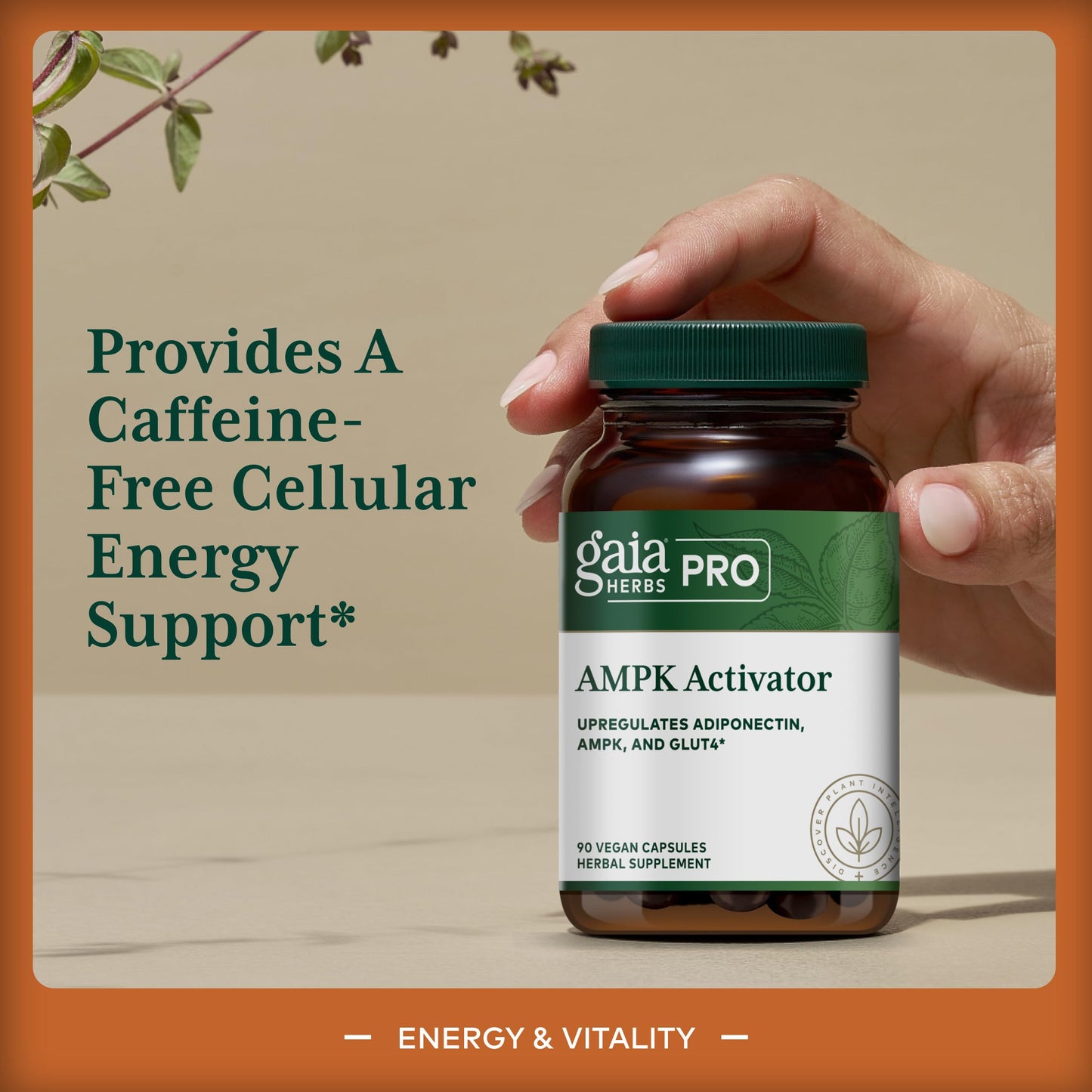 Gaia Herbs PRO AMPK Activator Capsule, 90 Count