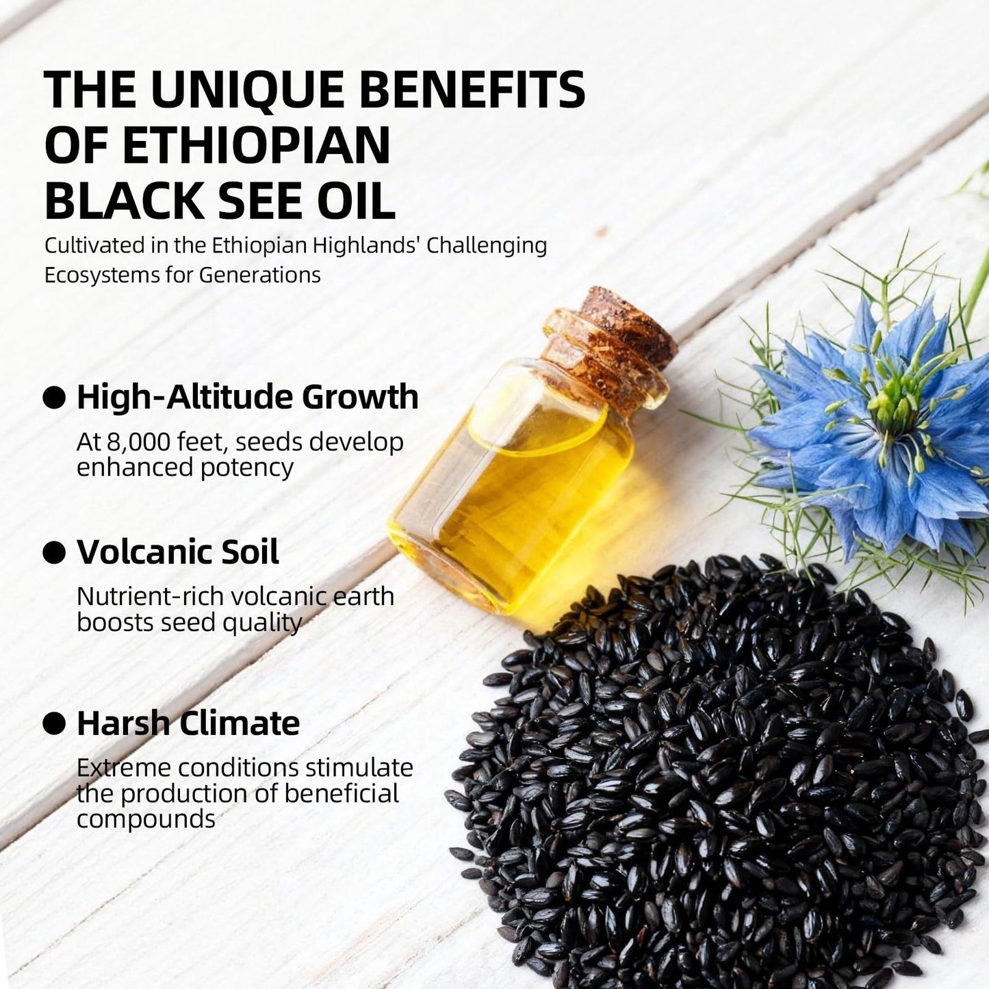 GlowRoot Ethiopian Black Seed Oil Softgels 4.64% Thymoquinone – Organic Cold Pressed Black Cumin Seed Oil, Non-GMO, Gluten-Free, 120 Softgels