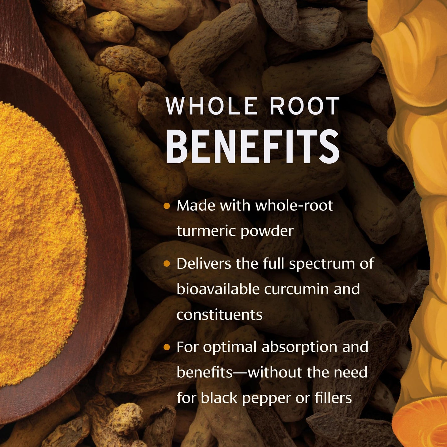 Banyan Botanicals Organic Turmeric Tablets – Whole-Root Systemic Support Supplement – Curcuma Longa for Joint Comfort & Luminous Skin – Full Spectrum Antioxidant, 90 Tablets