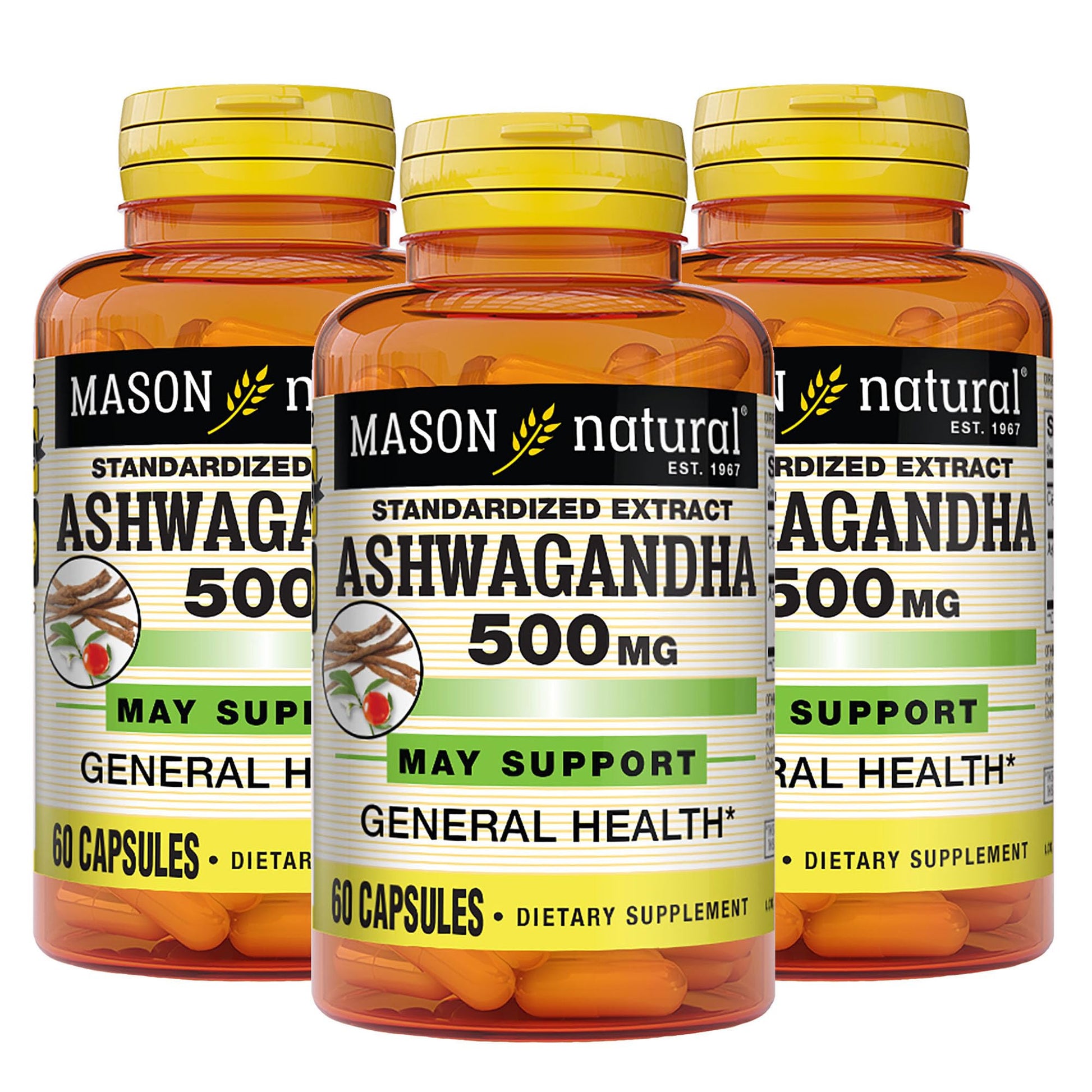 Mason Natural Ashwagandha 500 mg Adaptogen Capsule, 180 Count