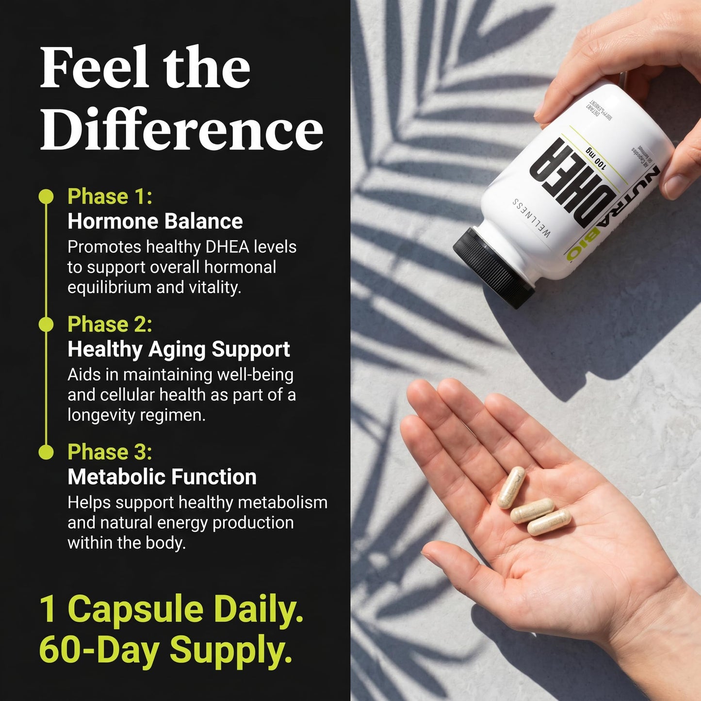 NutraBio DHEA Supplement for Men and Women - 100 mg Capsule, 60 Count