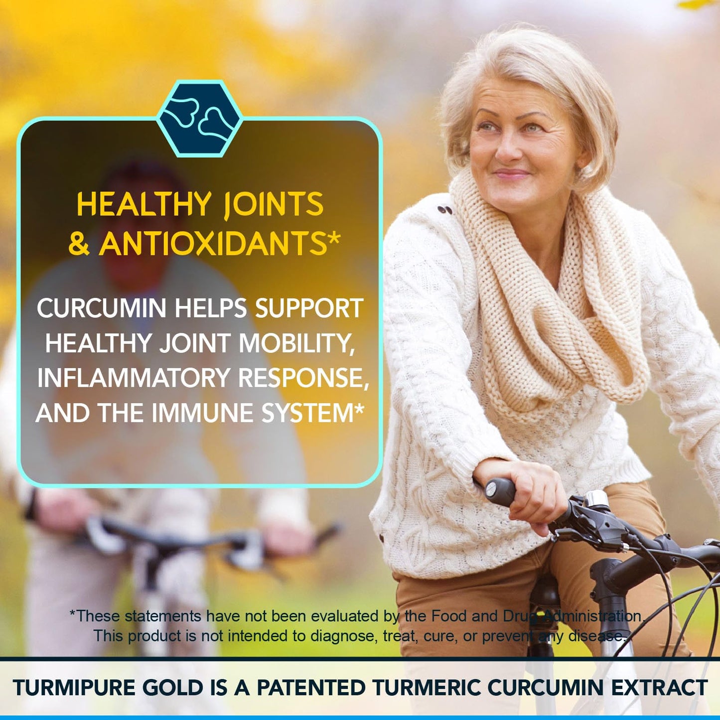 BioEmblem Turmeric Curcumin with Clinically Studied TurmiPure Capsule 60 Count