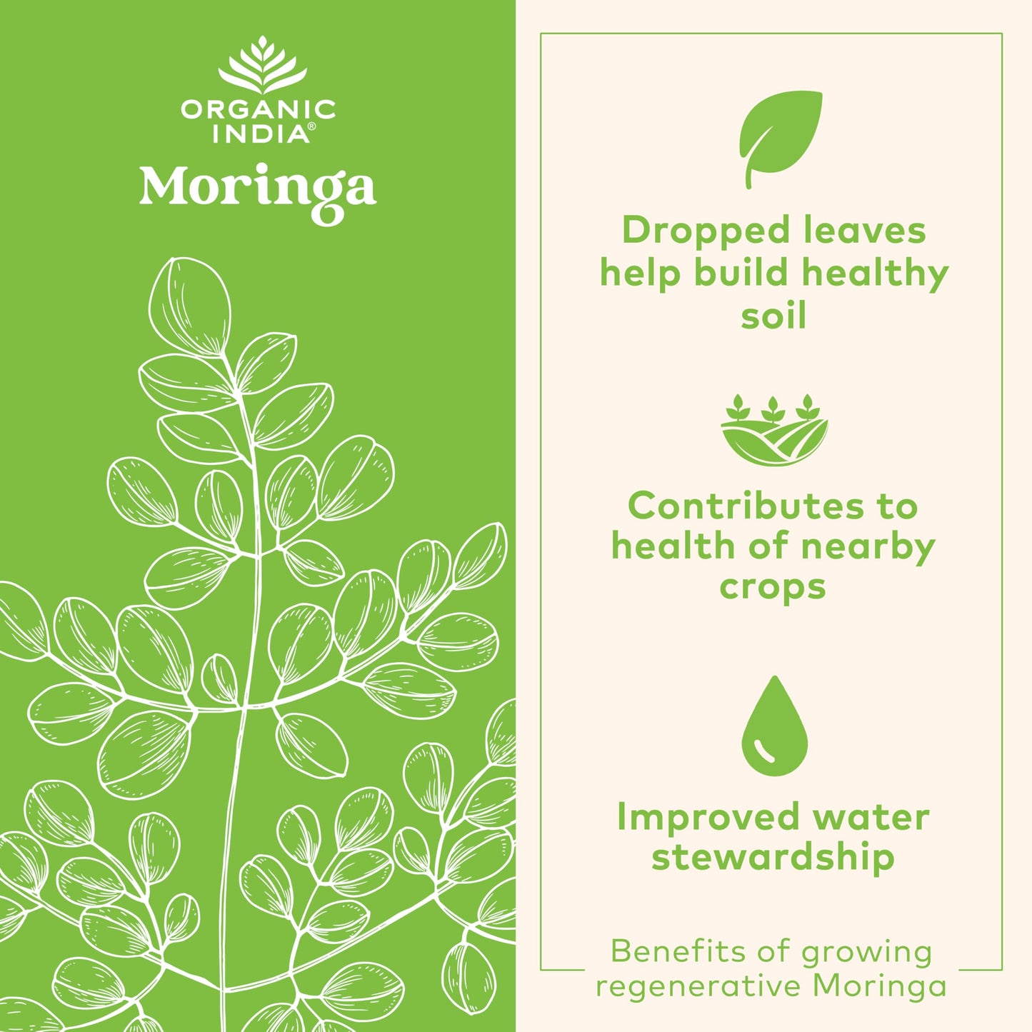 ORGANIC INDIA Moringa Capsules 180 Capsules