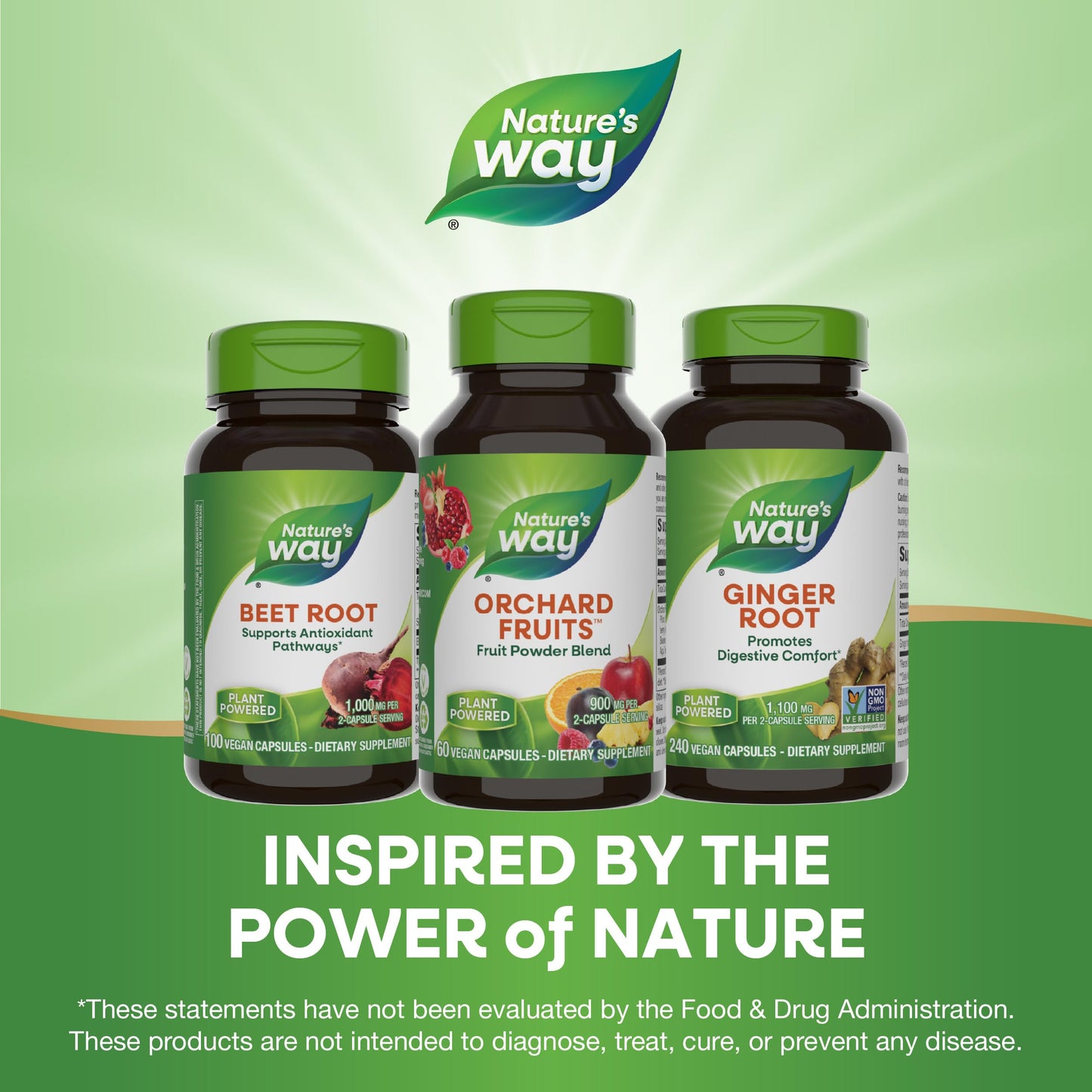 Nature's Way Orchard Fruits Fruit Powder Blend Capsules, 60 Count