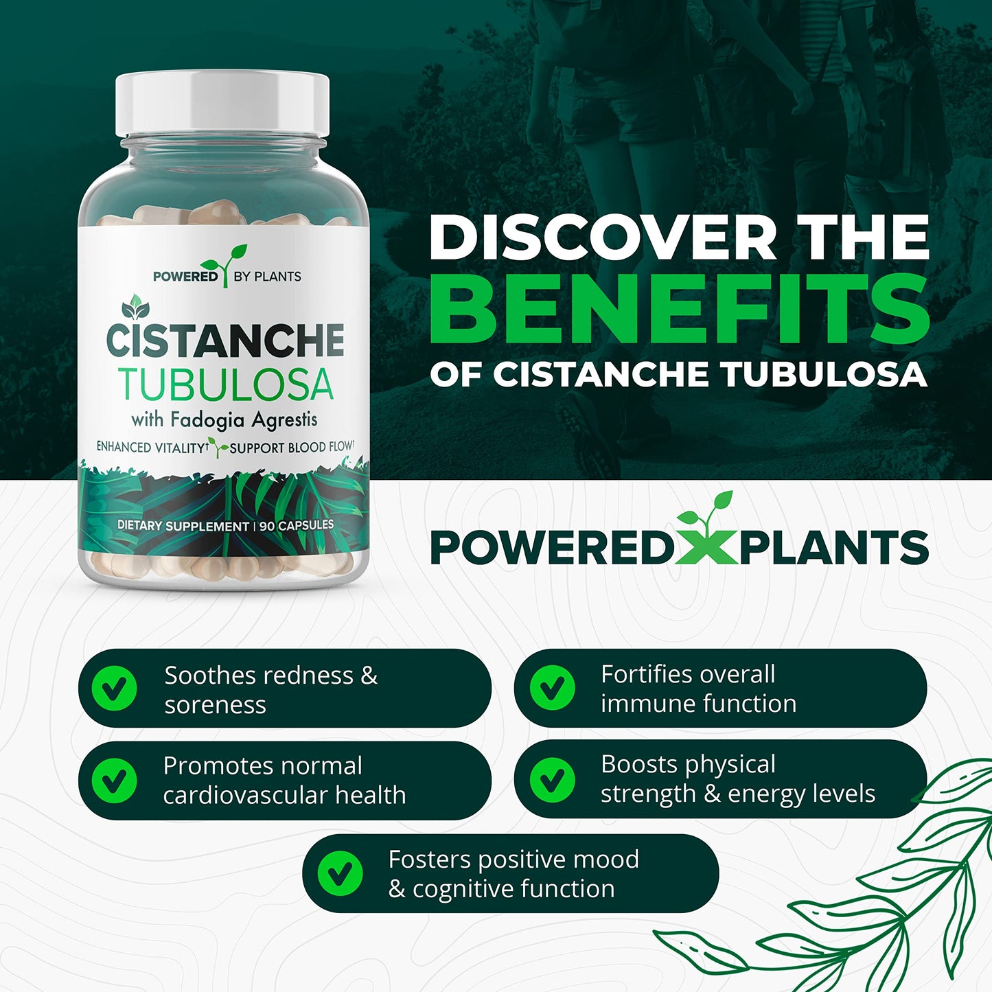 POWERED X PLANTS Cistanche Tubulosa with Fadogia Agrestis - Promotes Vitality - Natural Supplements for Men & Women with Bioperine Capsule, 90 Count