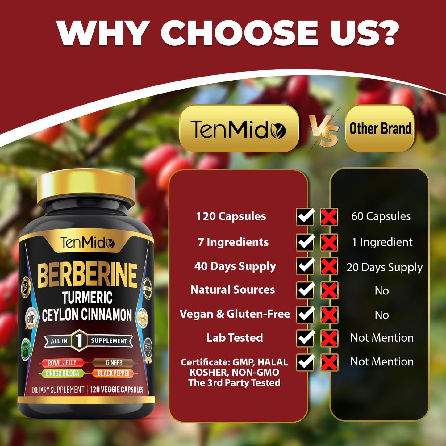 Tenmido Berberine Supplement 7in1 Formula with Turmeric, Royal Jelly, Ceylon Cinnamon, Ginkgo Biloba, Ginger & Black Pepper, Digestive Health & Immune Support, 120 Capsules