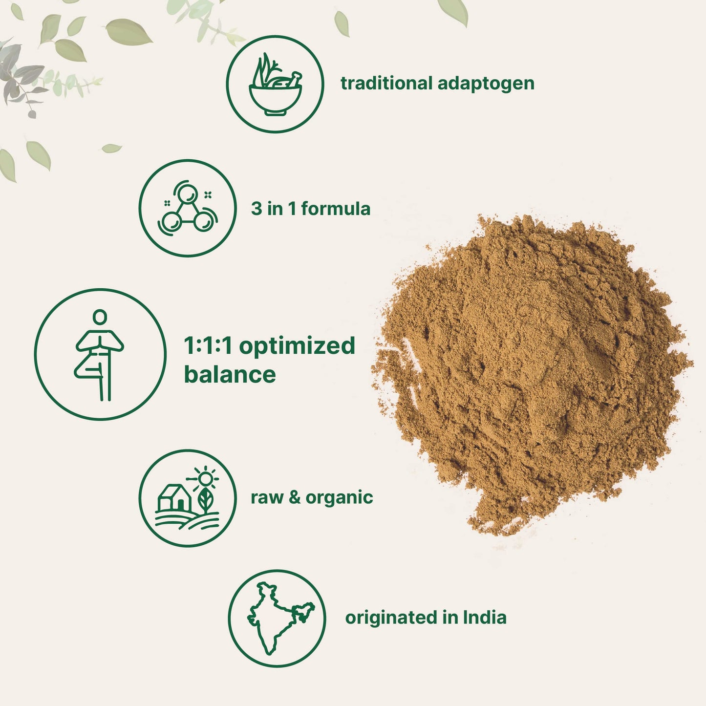 Micro Ingredients Triphala Powder 32 Ounce