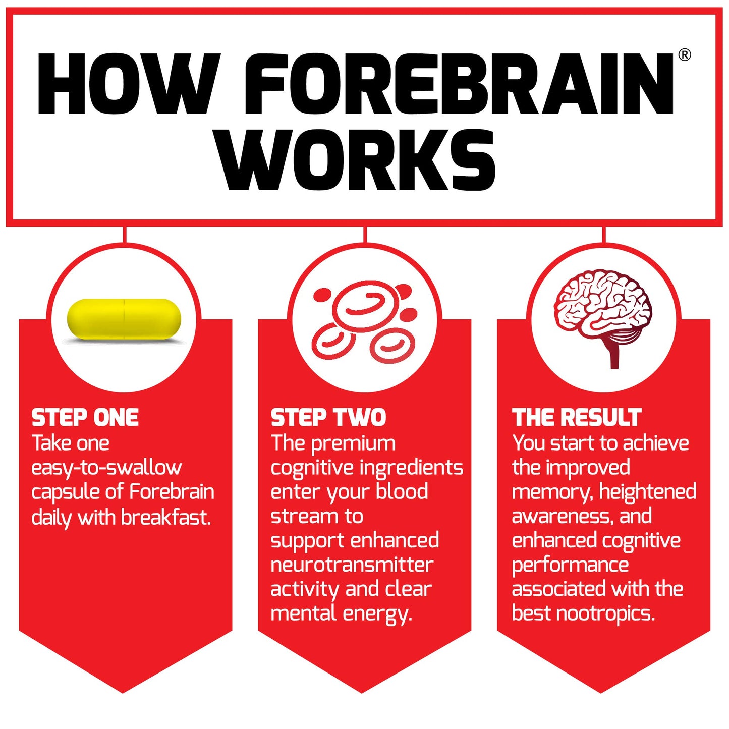 Force Factor Forebrain Nootropic Brain Supplement, 30 Capsules