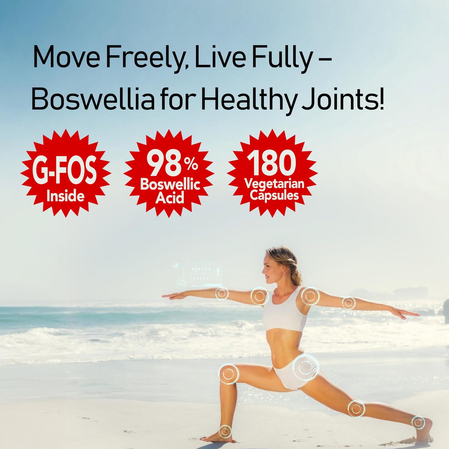 NANOWELL Boswellia Serrata with G-FOS 98% Boswellic Acid Capsules, 360 Count