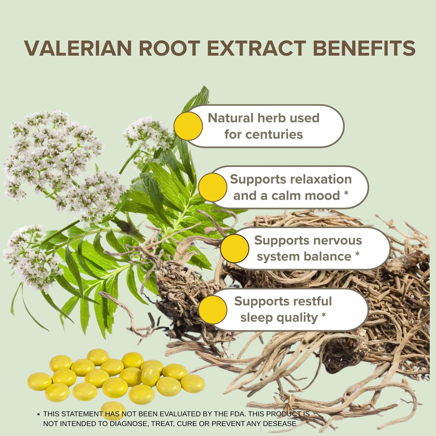 PLENARX Valerian Root Extract Tablet, 350 Tablets