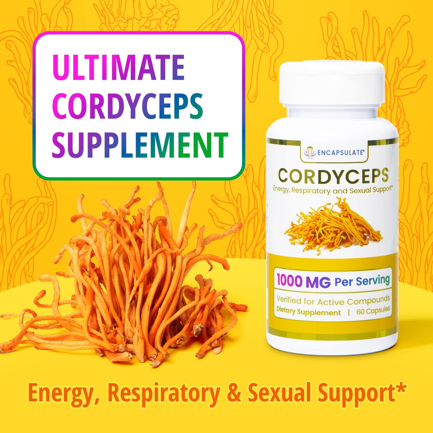 ENCAPSULATE Cordyceps 8:1 Extract Capsules, 60 Capsules