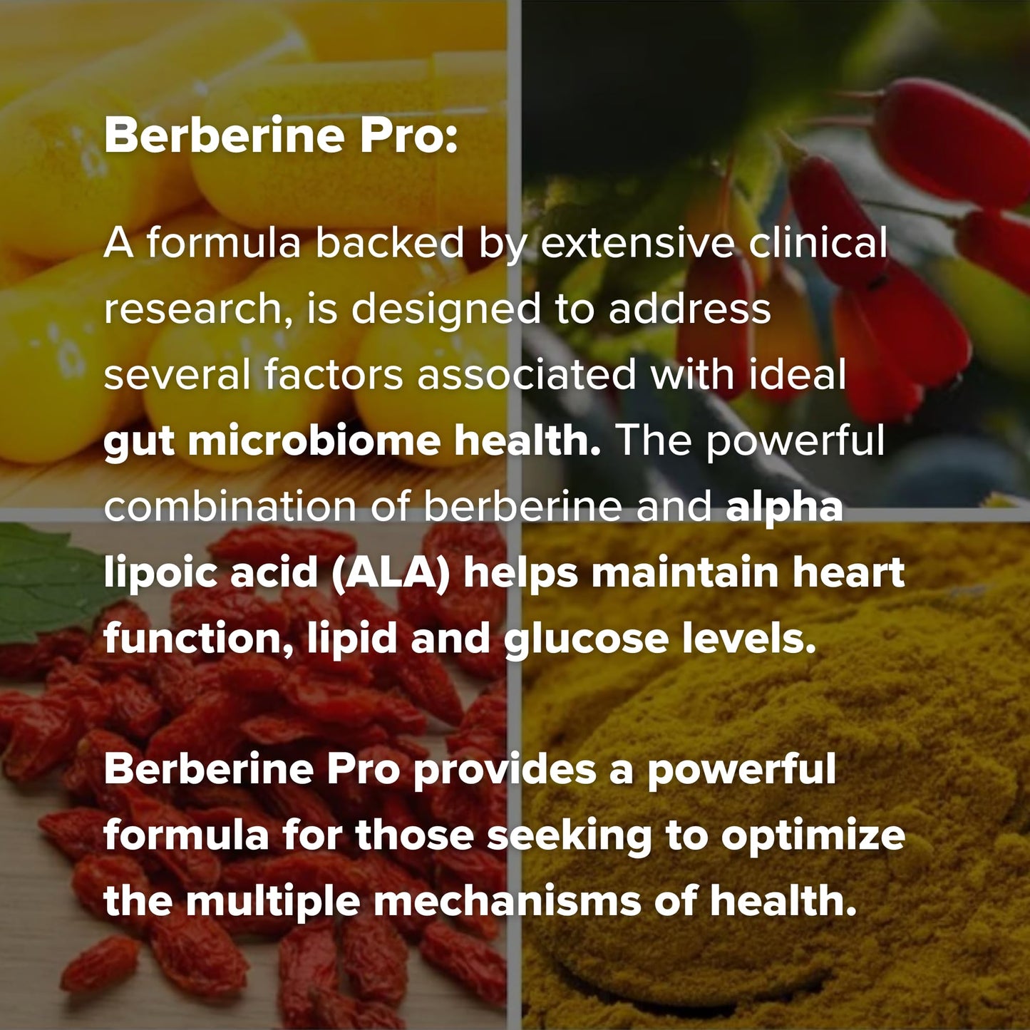 Dr. Rajsree Berberine Pro Capsule 90 Count