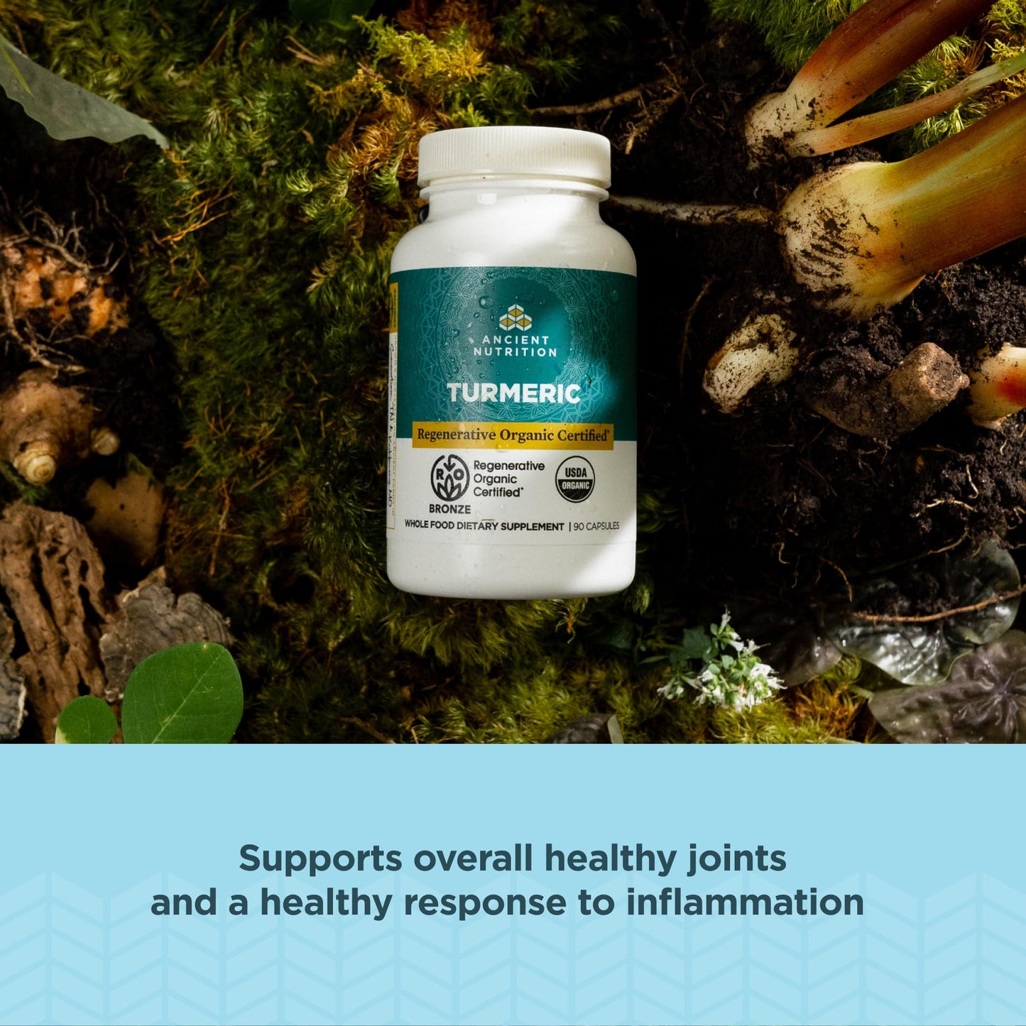 Ancient Nutrition Regenerative Organic Certified Turmeric Capsules 90 Count