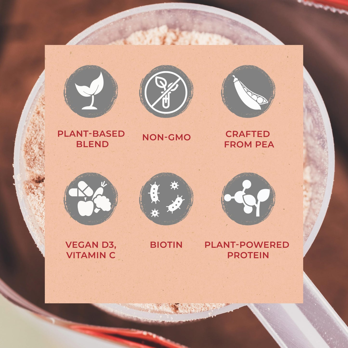 zenbodi Fuel Vegan Protein Powder Vanilla, 32 Servings, 2 lb