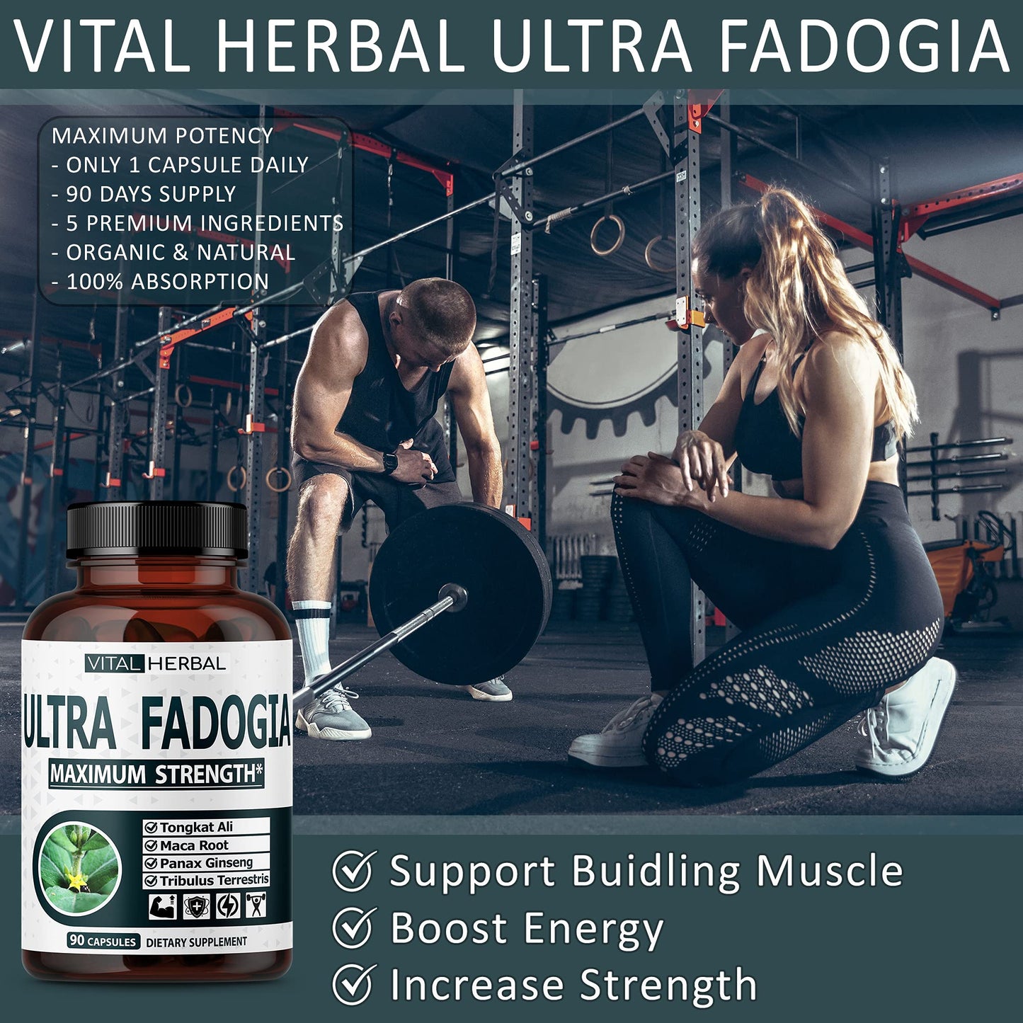 VITAL HERBAL Fadogia Agrestis with Tongkat Ali Capsules, 90 Count
