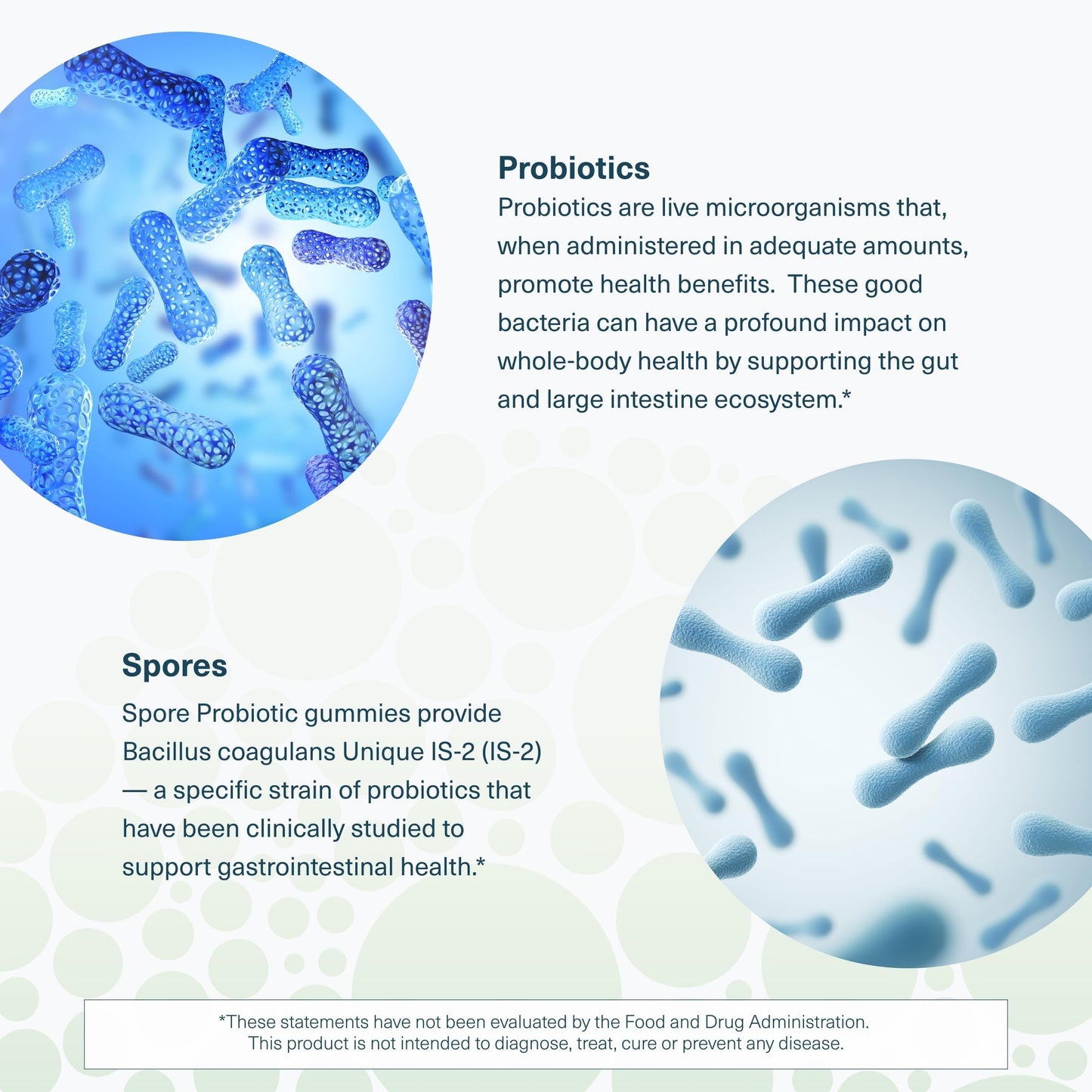 Youtheory Spore Probiotic Gummies 60 Gummies
