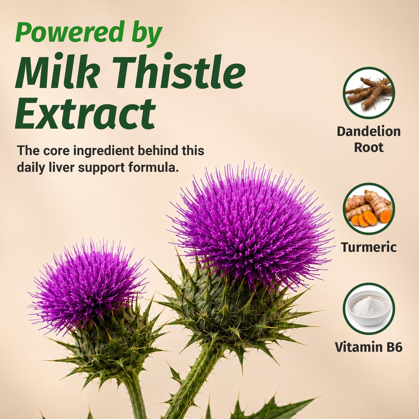 1 Body Milk Thistle Complex Silymarin Liver Support Capsule 180