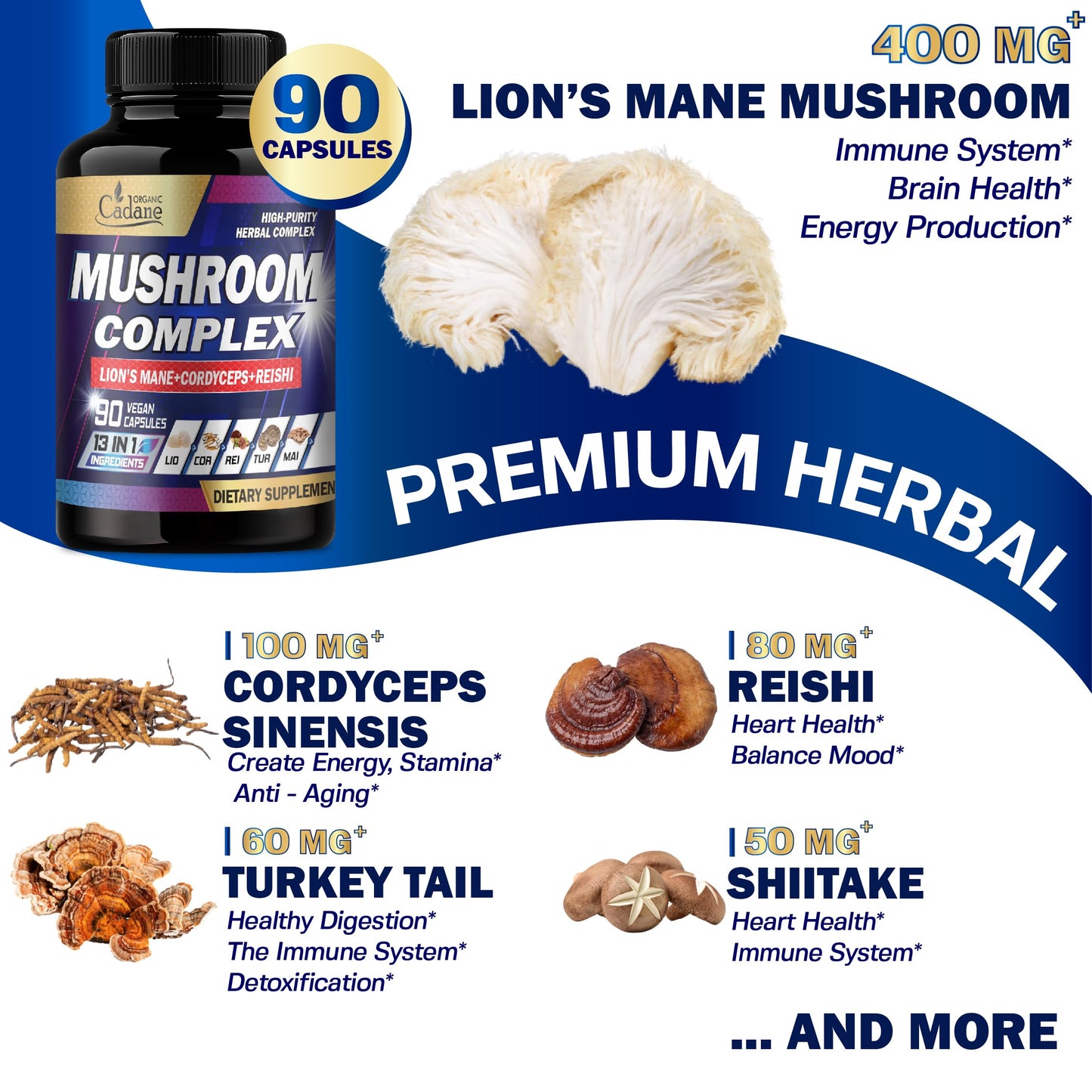 Organic Cadane Mushroom Complex Supplements - 13in1 with Lions Mane Mushroom, Bacopa, Reishi & More - 90 Capsules