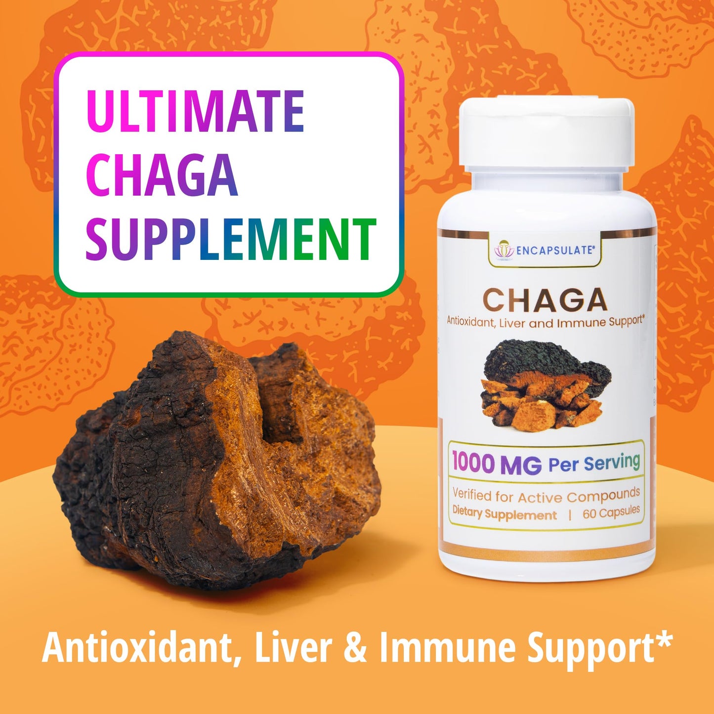 ENCAPSULATE Chaga Capsules 1000mg – Premium Organic Fruiting Body 1:1 Mushroom Extract – Adaptogen Mushroom Supplement for Antioxidant, Digestive, Oxidative Stress & Immune Support – Vegan – 60 Capsules