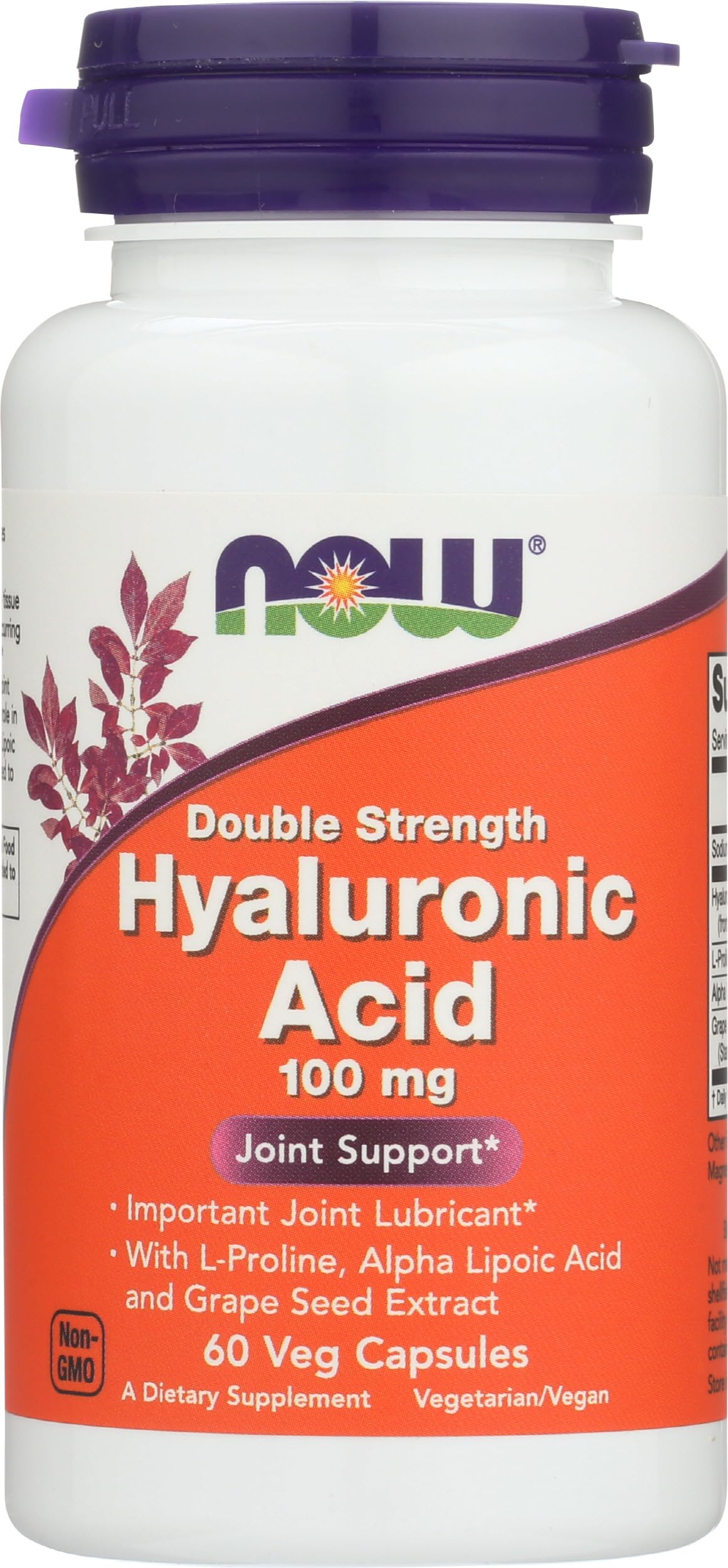 NOW Foods Hyaluronic Acid 100 mg Capsule, 60 Count