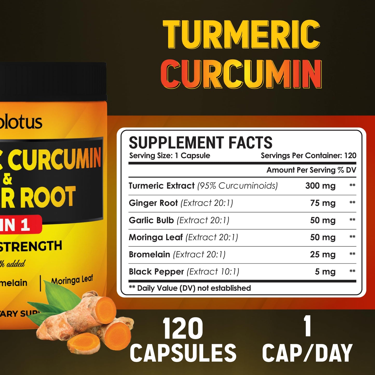 Zolotus 6 in 1 Turmeric Curcumin + Ginger Capsules, 120 Count