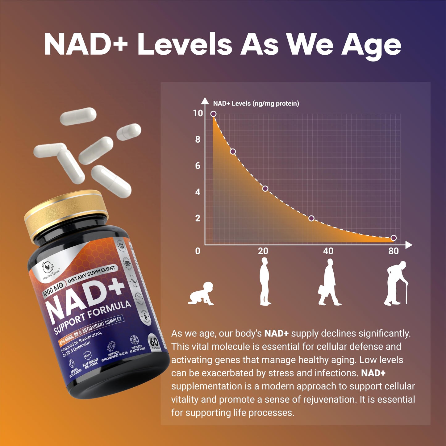 HerbaSpot NAD+ Supplement 1000mg with NMNH, Nicotinamide Riboside NR, Resveratrol & CoQ10 60 Capsules