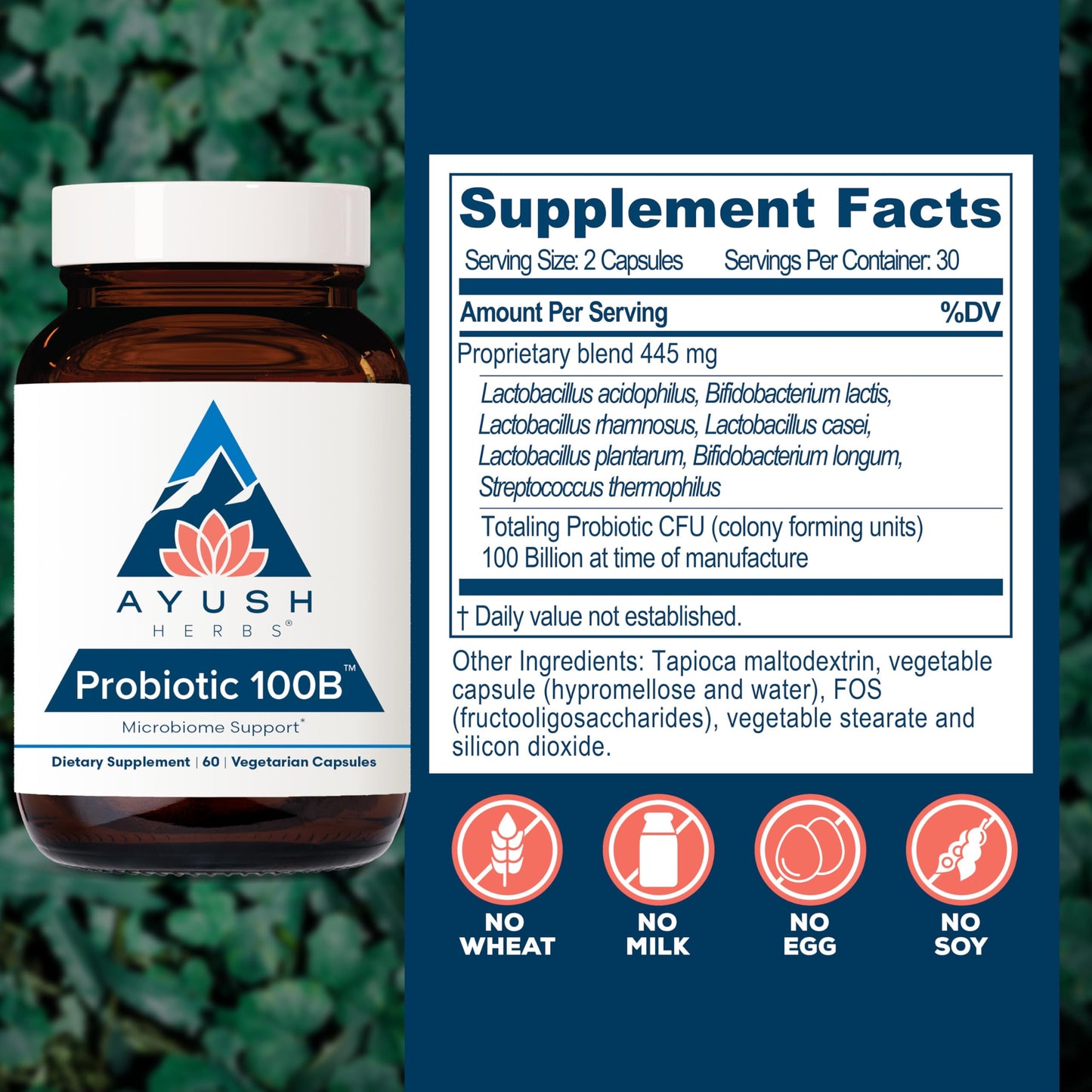 Ayush Herbs Probiotic 100B Capsules, 60 Count