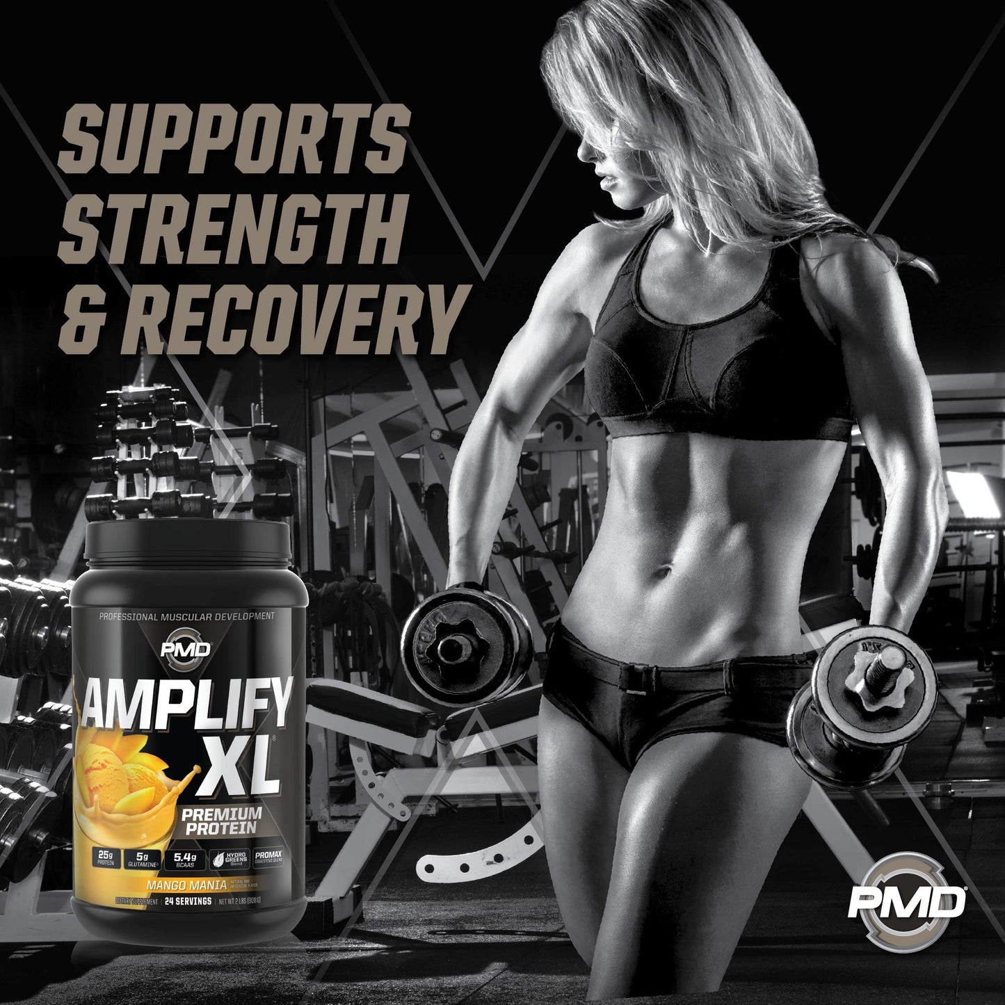 PMD Sports Amplify XL Premium Whey Protein Powder Mango Mania, 2 lb, Pack of 1