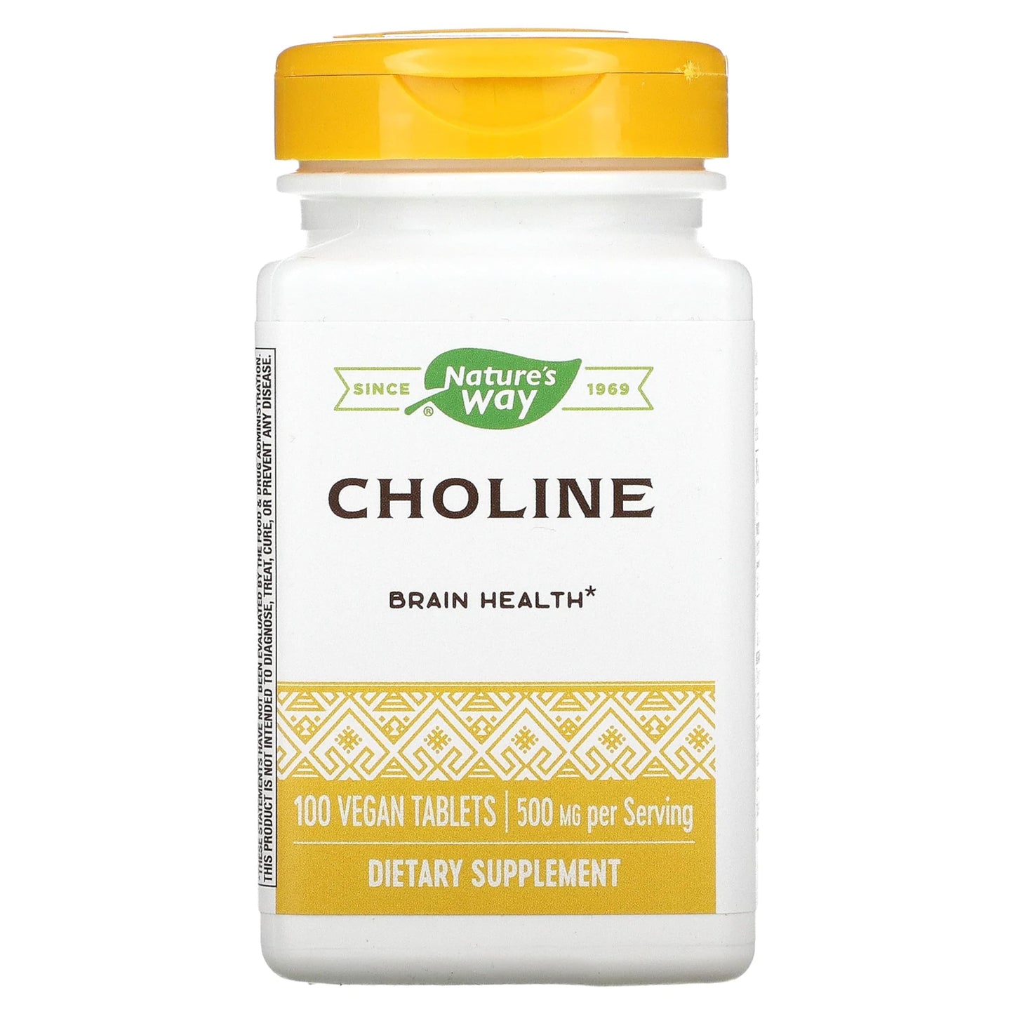 Nature's Way Choline 500 mg Tablets, 100 Count
