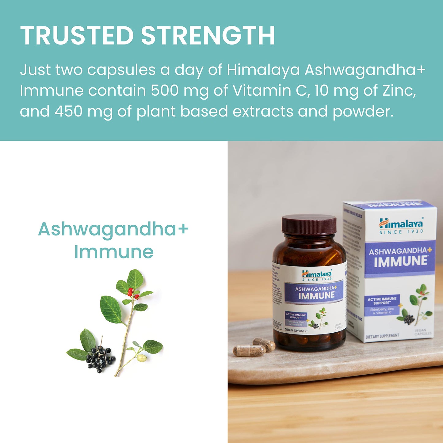 Himalaya Ashwagandha+ Immune Capsule 60 Capsules