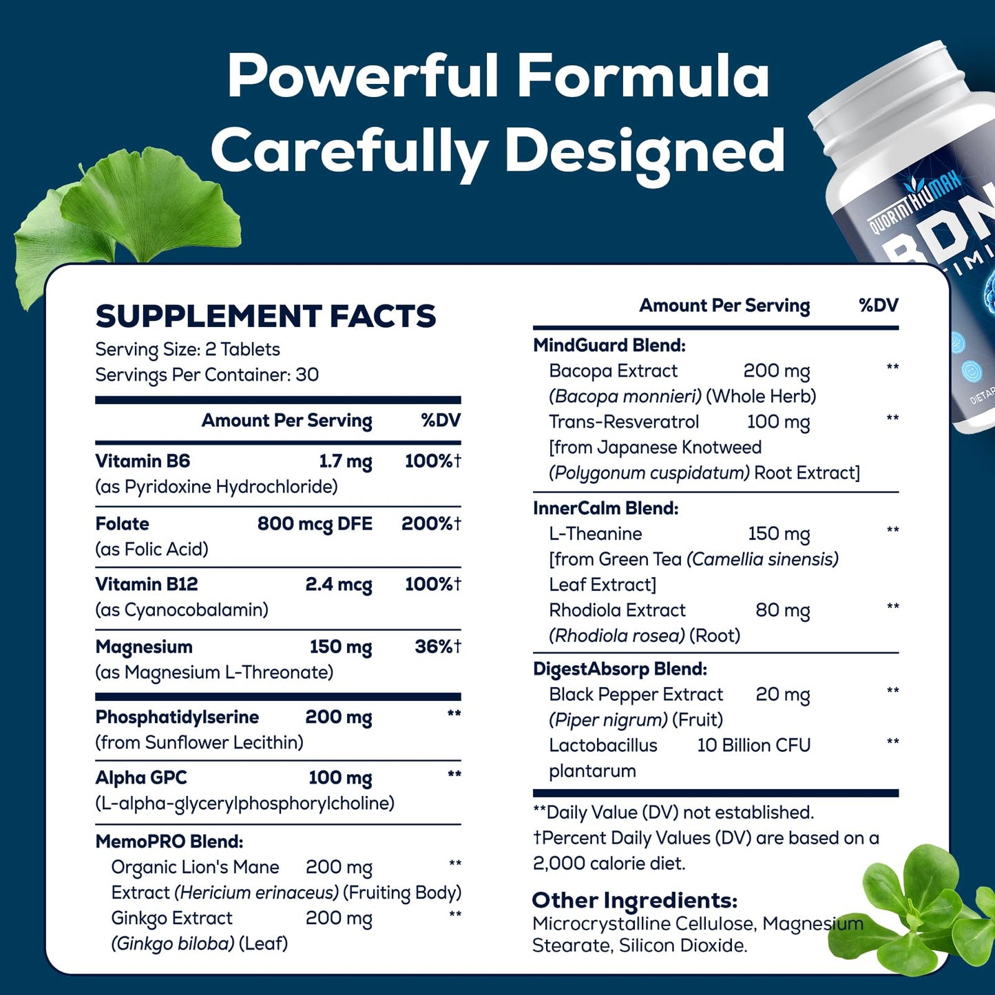 Quorinthiumax Nootropic Brain Supplement for Memory and Focus – BDNF Optimizer – Cognitive, Mental Clarity & Mood – High Absorption – Organic Lion's Mane, L-Theanine, Ginkgo Biloba & Alpha GPC Tablets, 60 Tablets