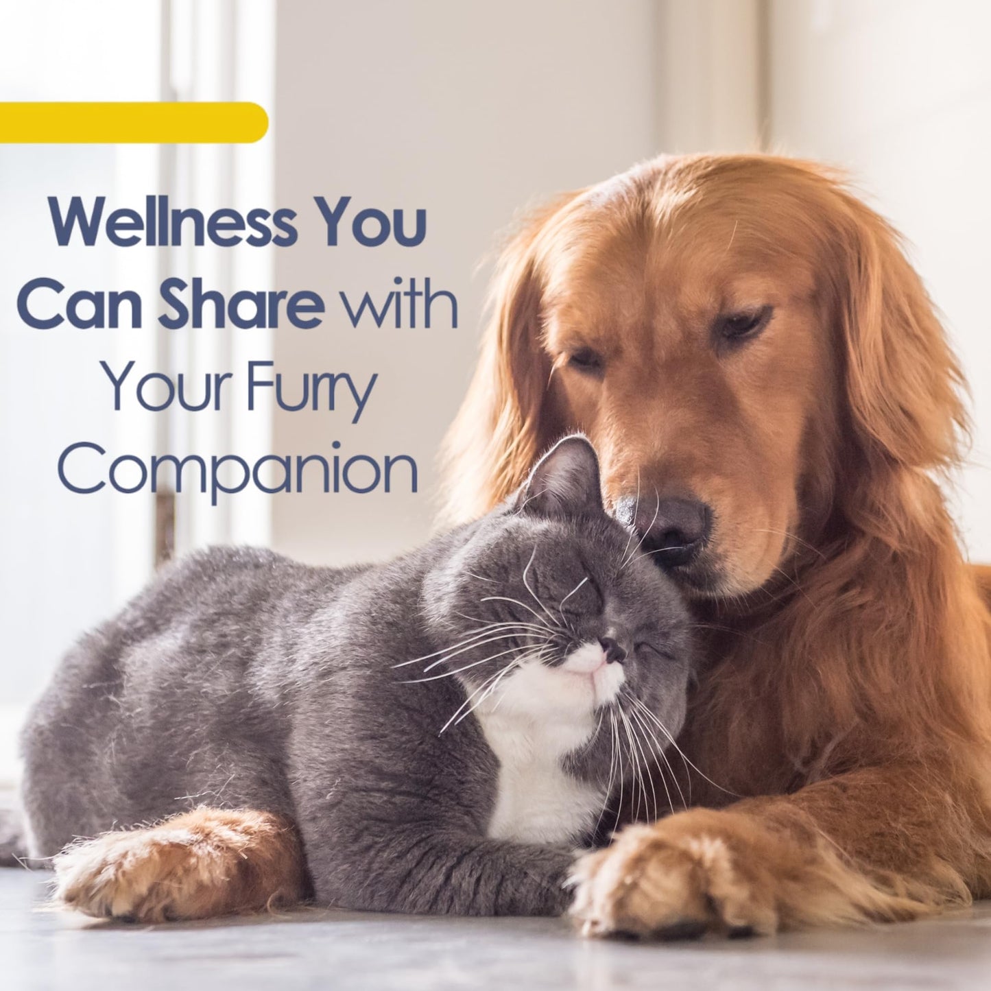 EESY PET Shine Omega-3 Fish Oil for Dogs & Cats, 60 Capsules