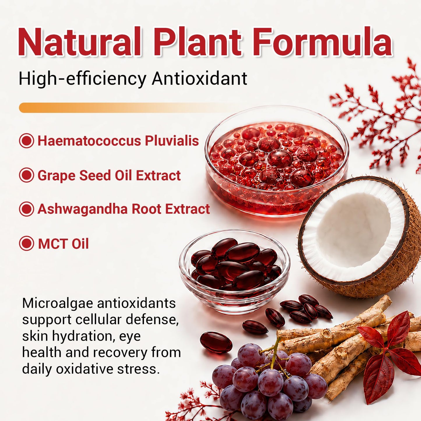 Biorizvo Astaxanthin Supplements 24mg Softgels, 300 Count
