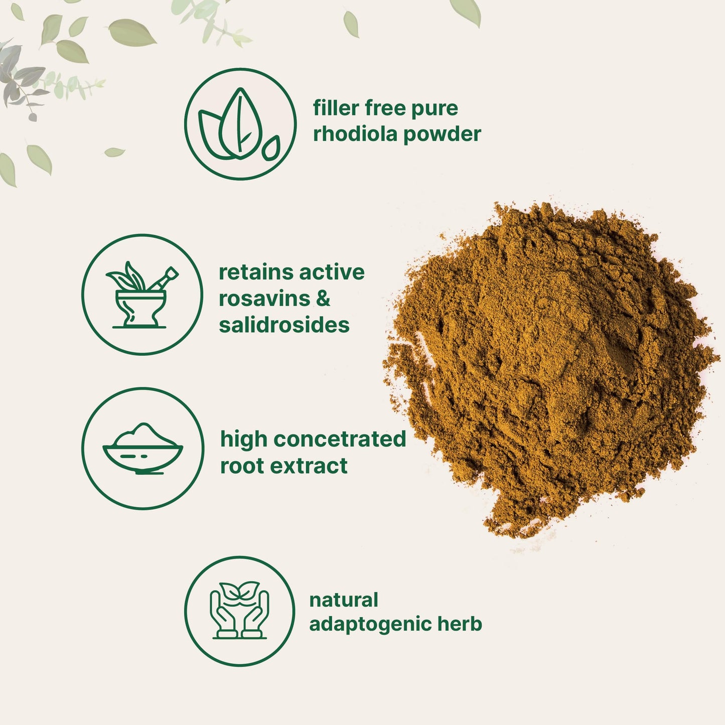 Micro Ingredients Rhodiola Rosea Root Extract Powder 1.76 oz