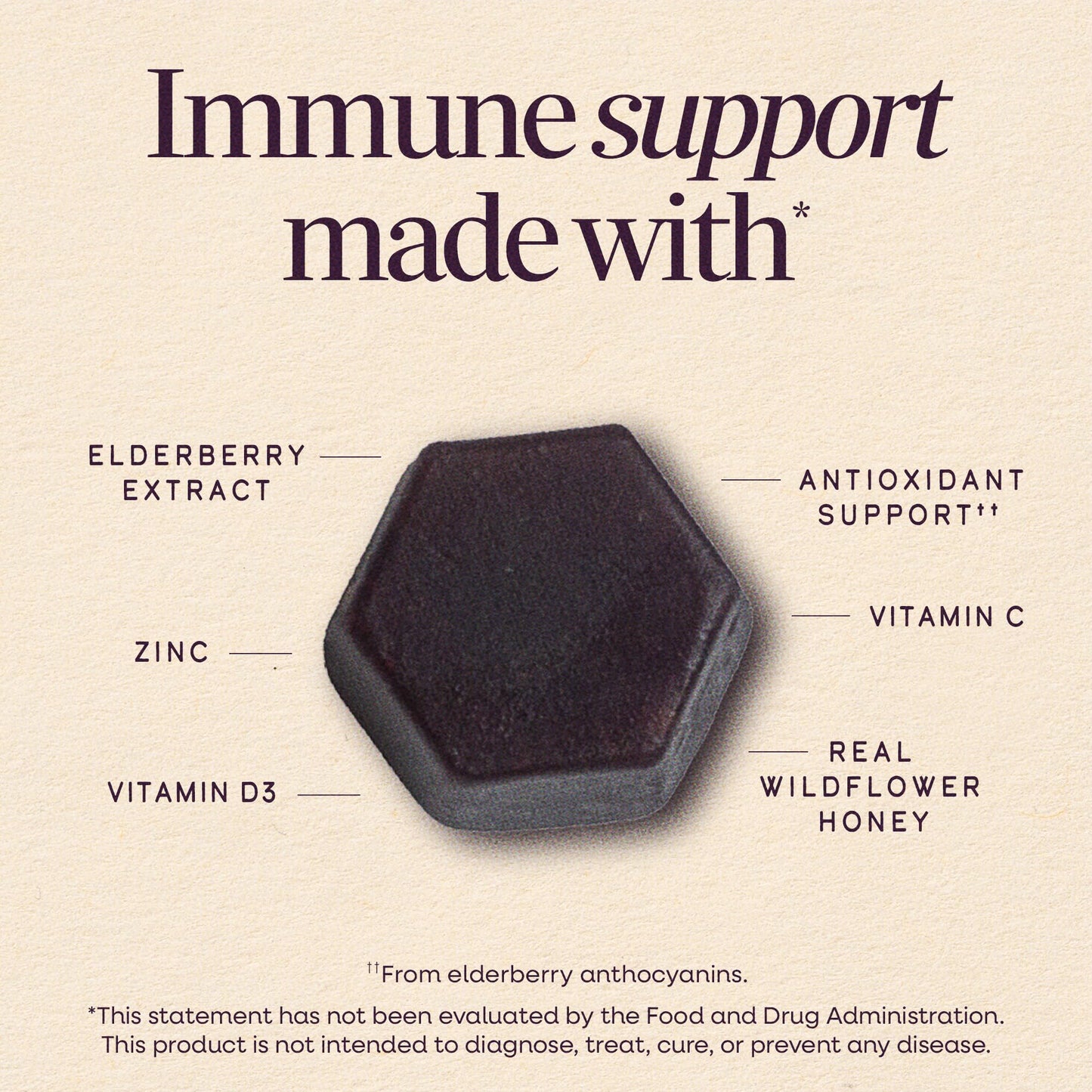 Nature's Way Sambucus Elderberry + Wildflower Honey Immune Gummy, 50 Count