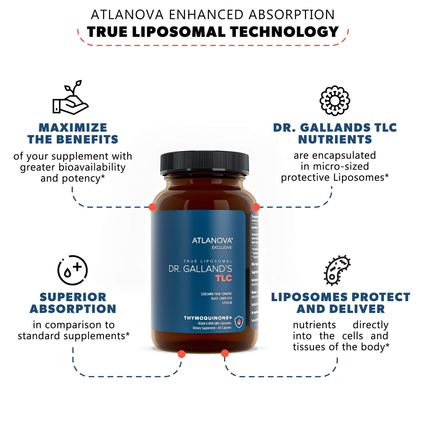 ATLANOVA Dr. Galland’s TLC - True Liposomal Supplement, Turmeric Curcumin Supplement - Luteolin, Black Cumin Seed & 5% Thymoquinone, High Absorption Formula, Vegan - 60 Capsules