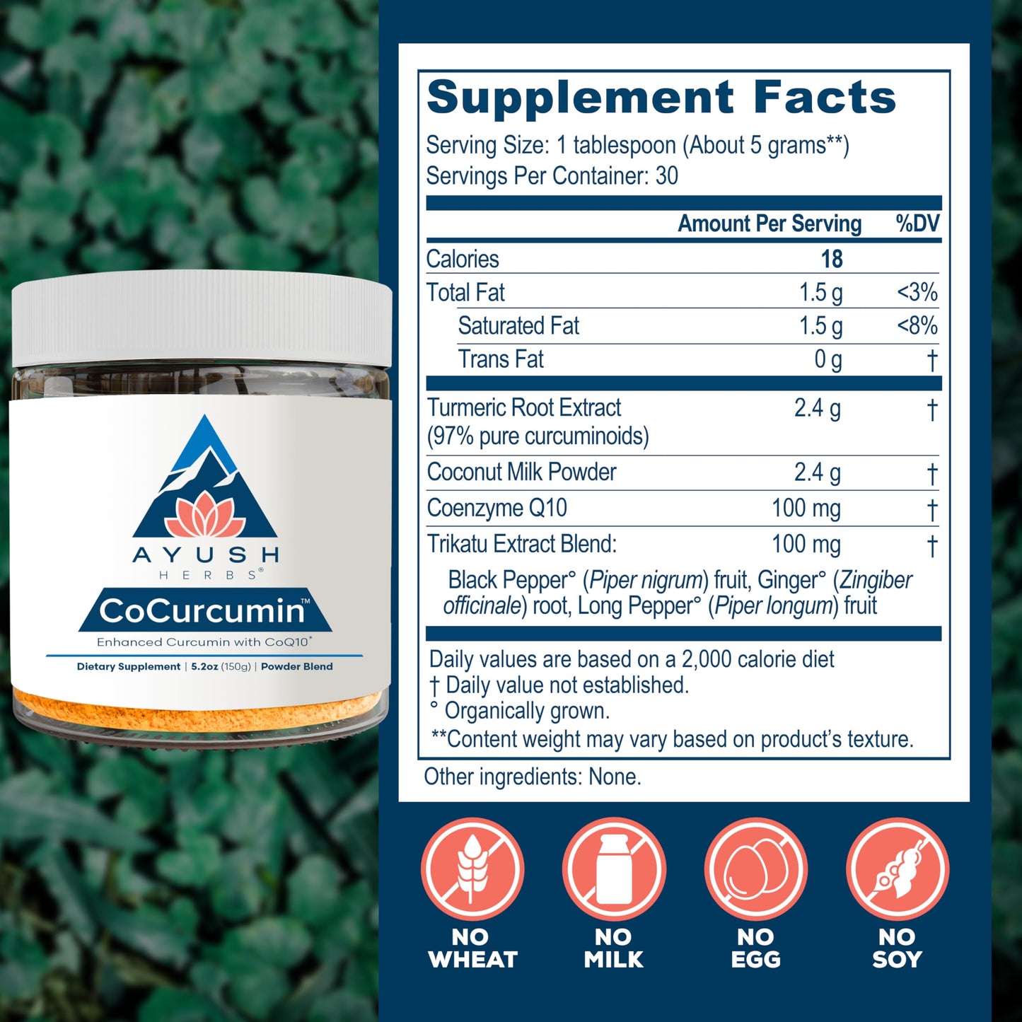 Ayush Herbs CoCurcumin Turmeric Powder with Black Pepper, CoQ10, MCT Oil 5.25 oz