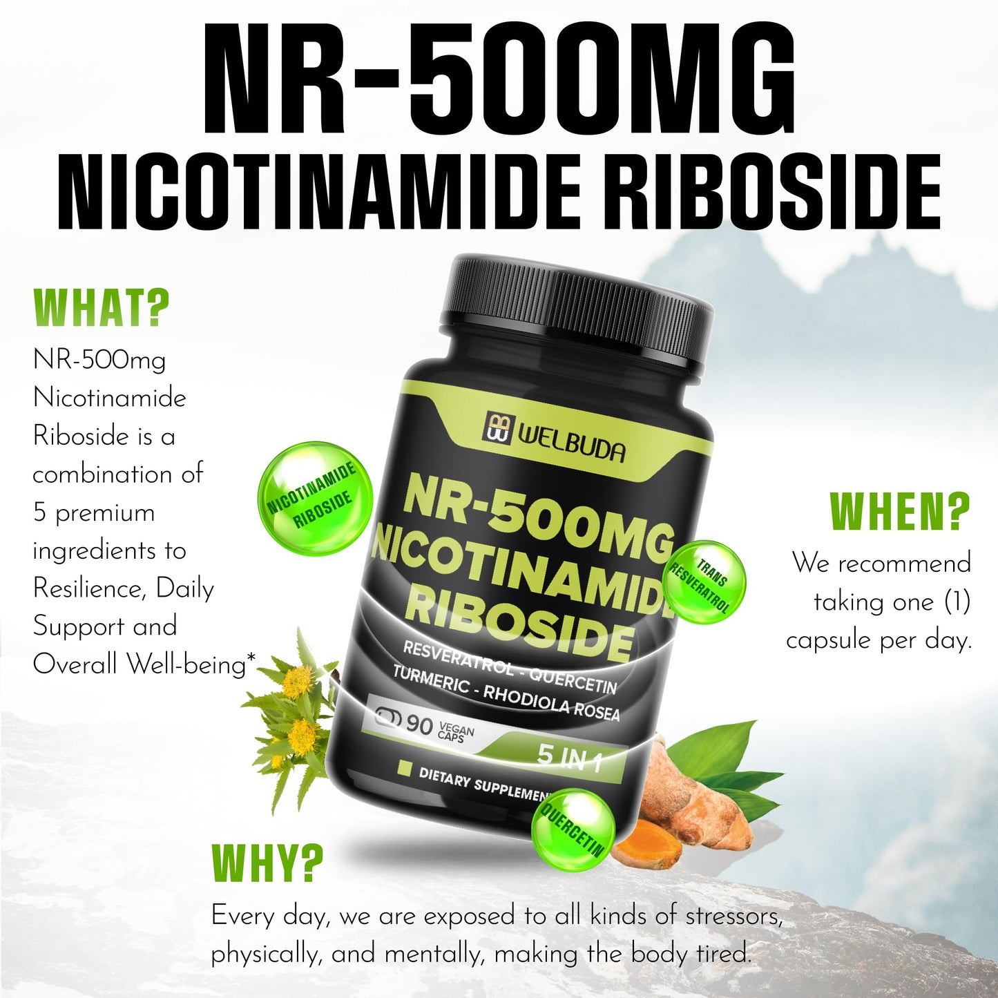 WELBUDA 5in1+ Nicotinamide Riboside Supplement with Resveratrol, Quercetin, Turmeric, Rhodiola Rosea Capsule, 90 Count