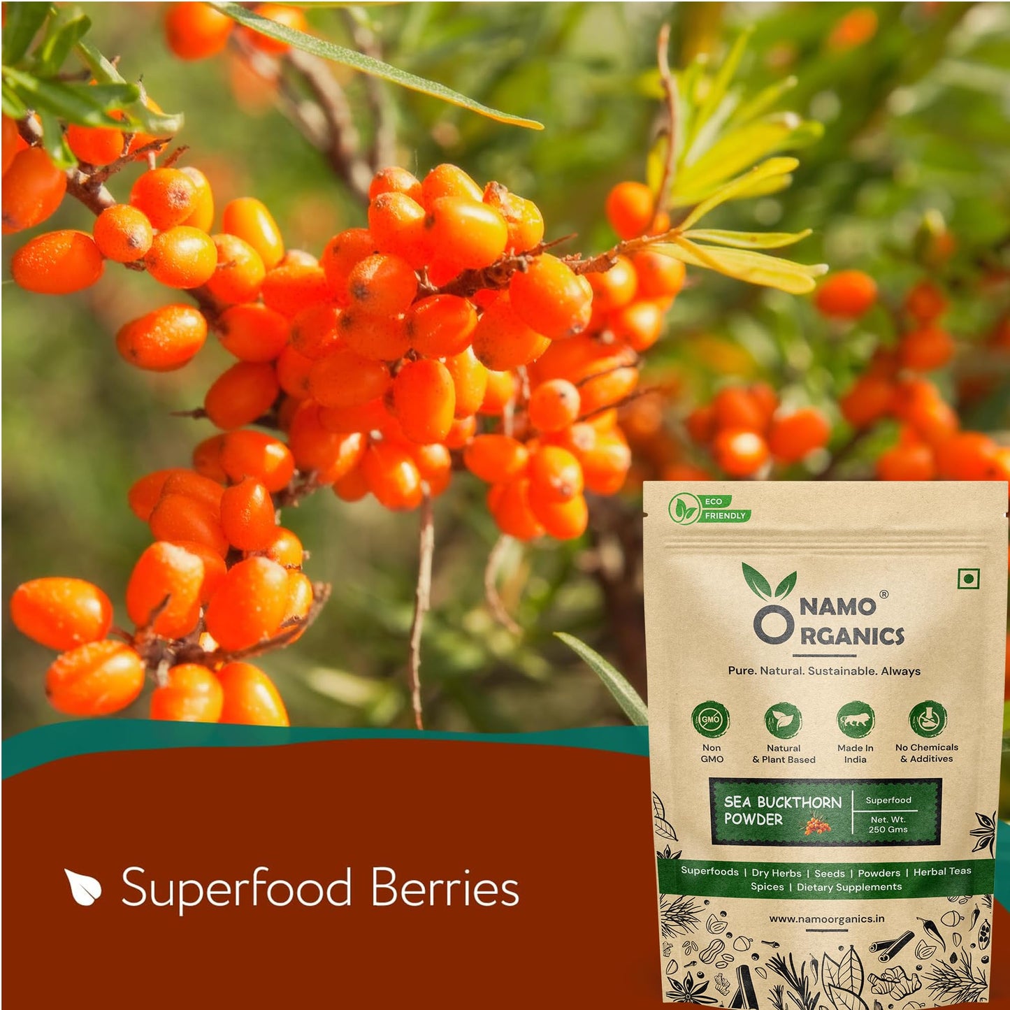 Namo Organics Sea Buckthorn Berry Powder 7.05 oz