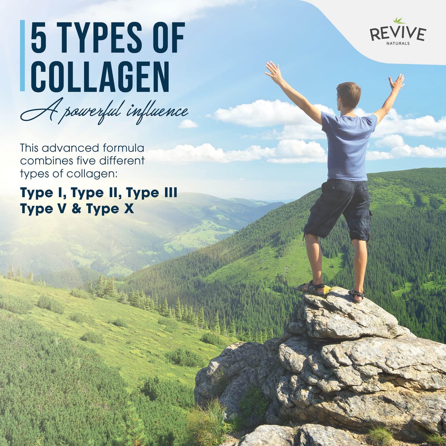 Revive Naturals Multi Collagen Protein Powder, 120