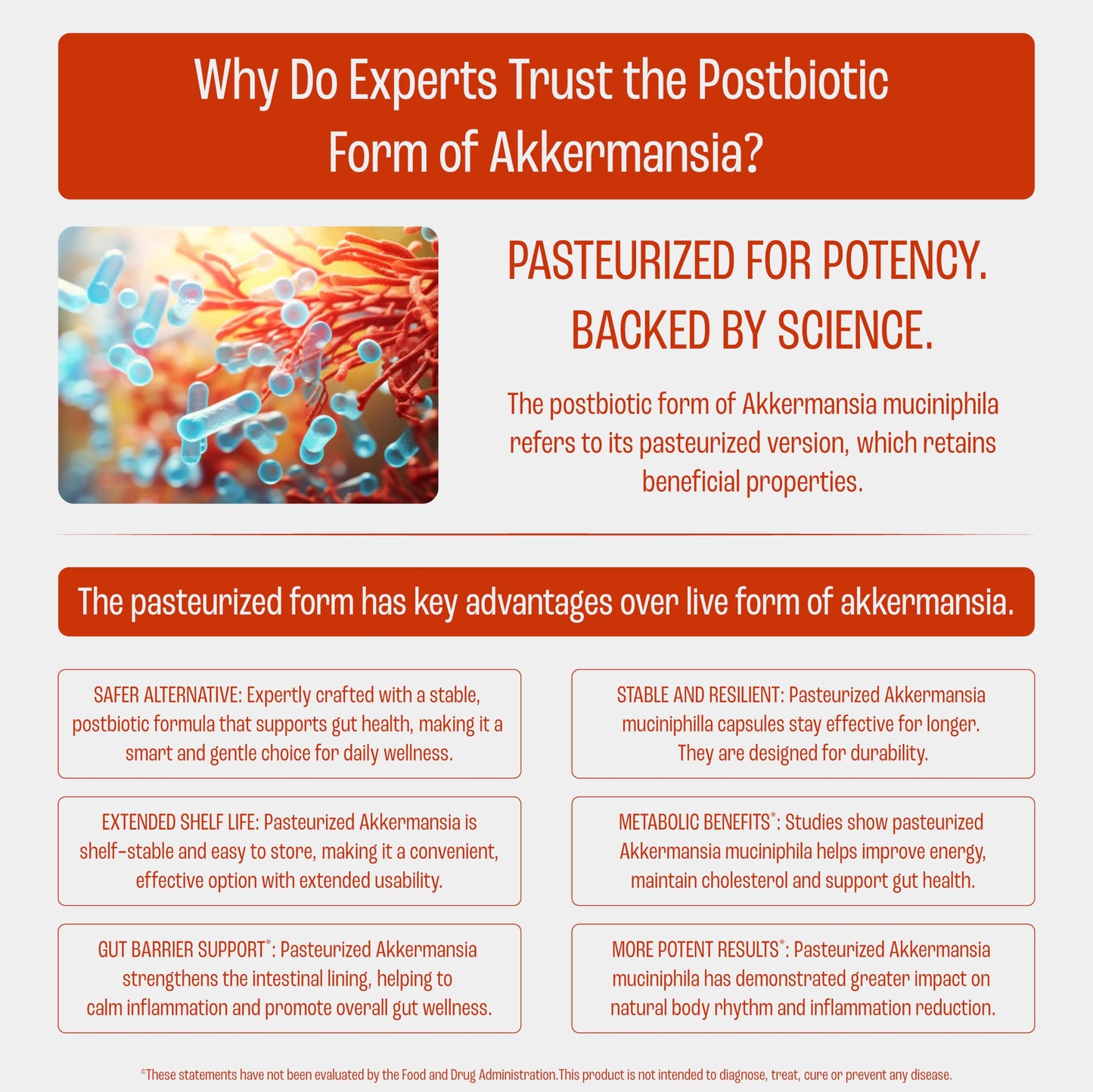 PADMURA Akkermansia Muciniphila Probiotic Supplement Capsule 30 Count
