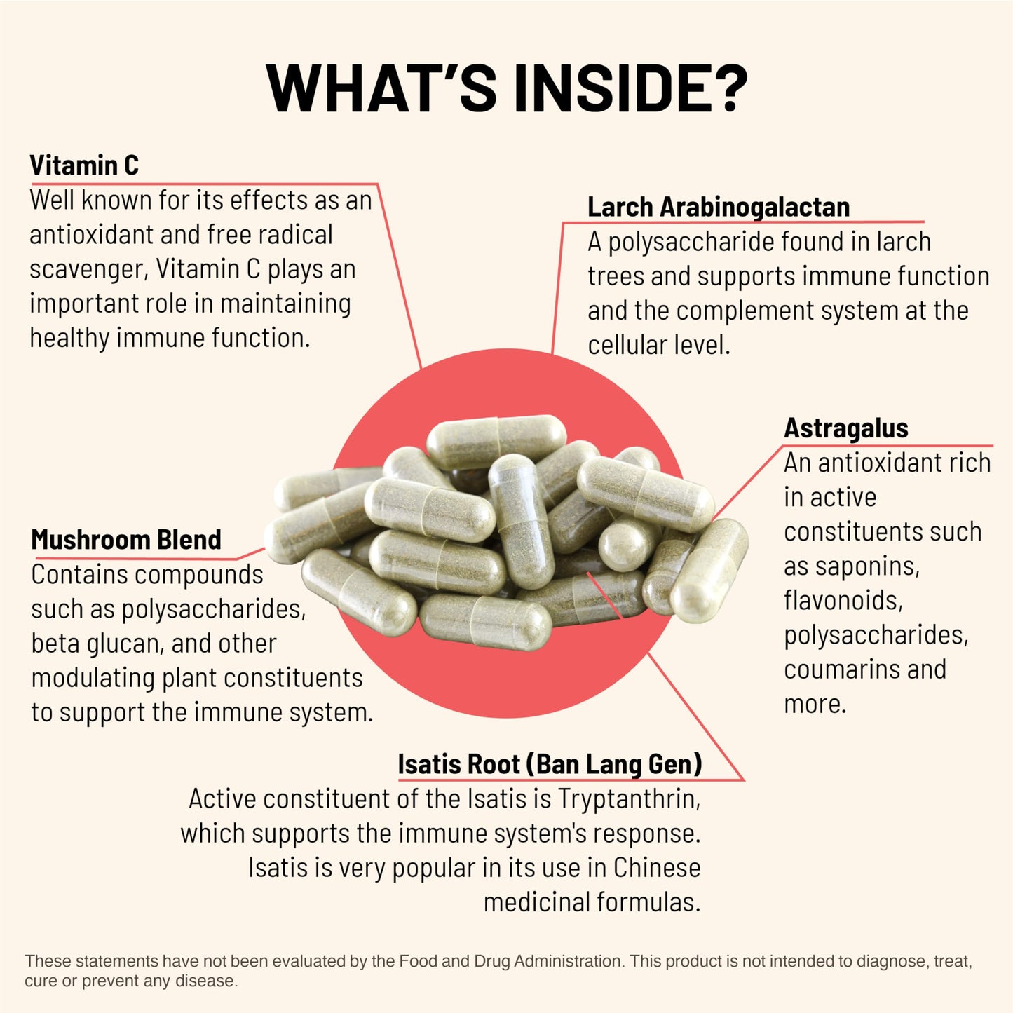 Mountain Peak Nutritionals Immuni-LT Immune System & Whole Body Support Supplement - Power Packed Immune Booster, Dynamic Immune Defense with Essential Vitamins & Minerals, 60 Capsules
