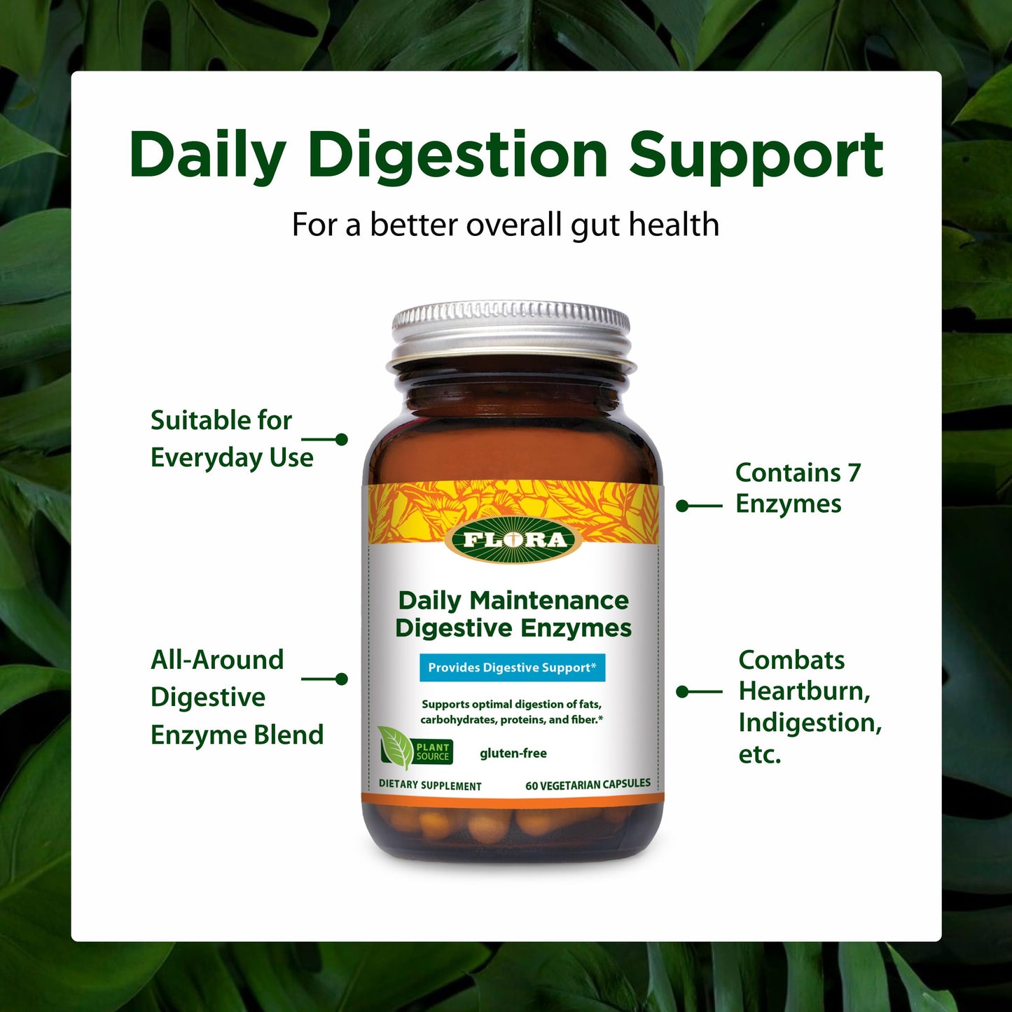 Flora Daily Maintenance Digestive Enzymes Capsule 60 Count