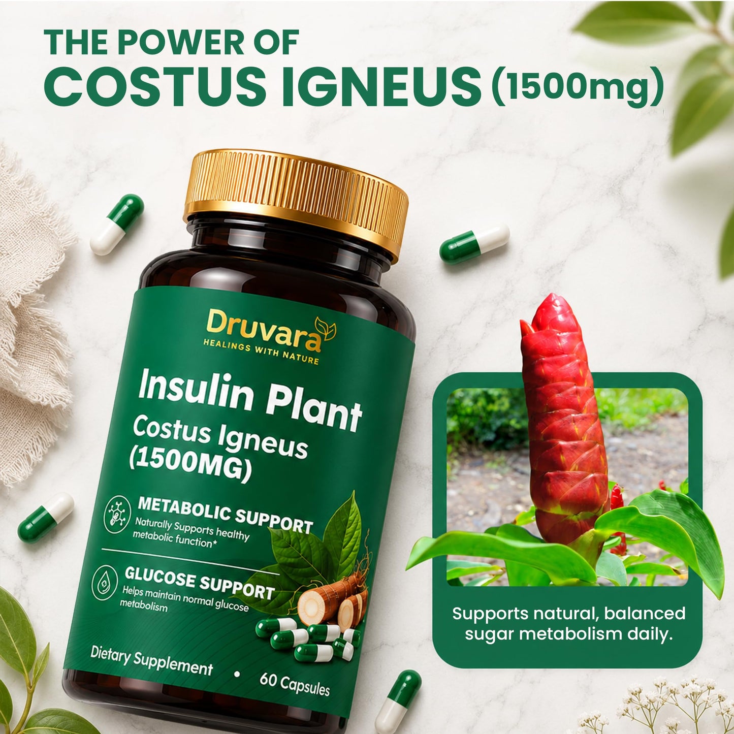 Druvara Insulin Plant Capsules (Costus Igneus), 60 Capsules