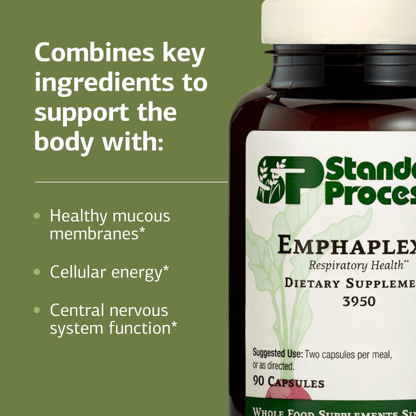 Standard Process Inc. Emphaplex Respiratory System Supplement for Antioxidant Support for Cellular Energy Support & Nervous System Health, 90 Capsules